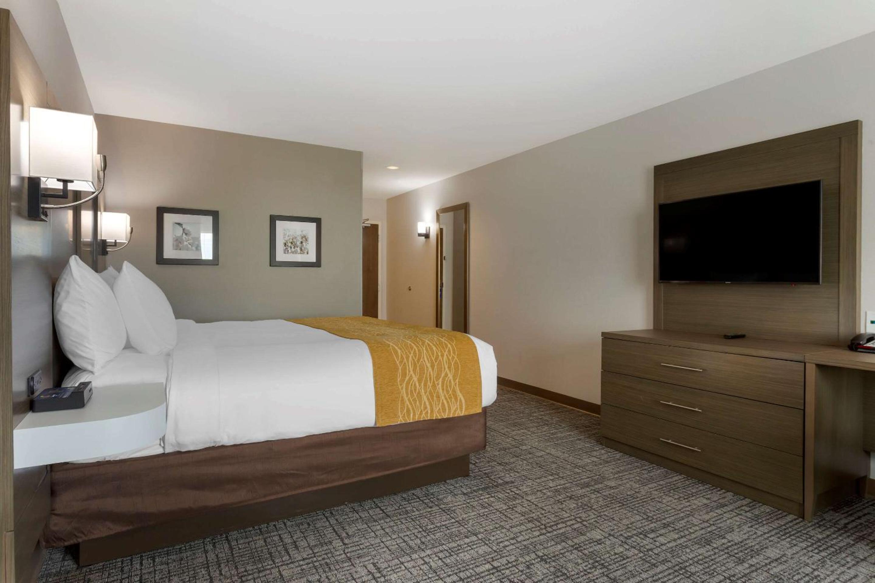 King Room with Roll-In Shower - Accessible/Non Smoking - Photo 4