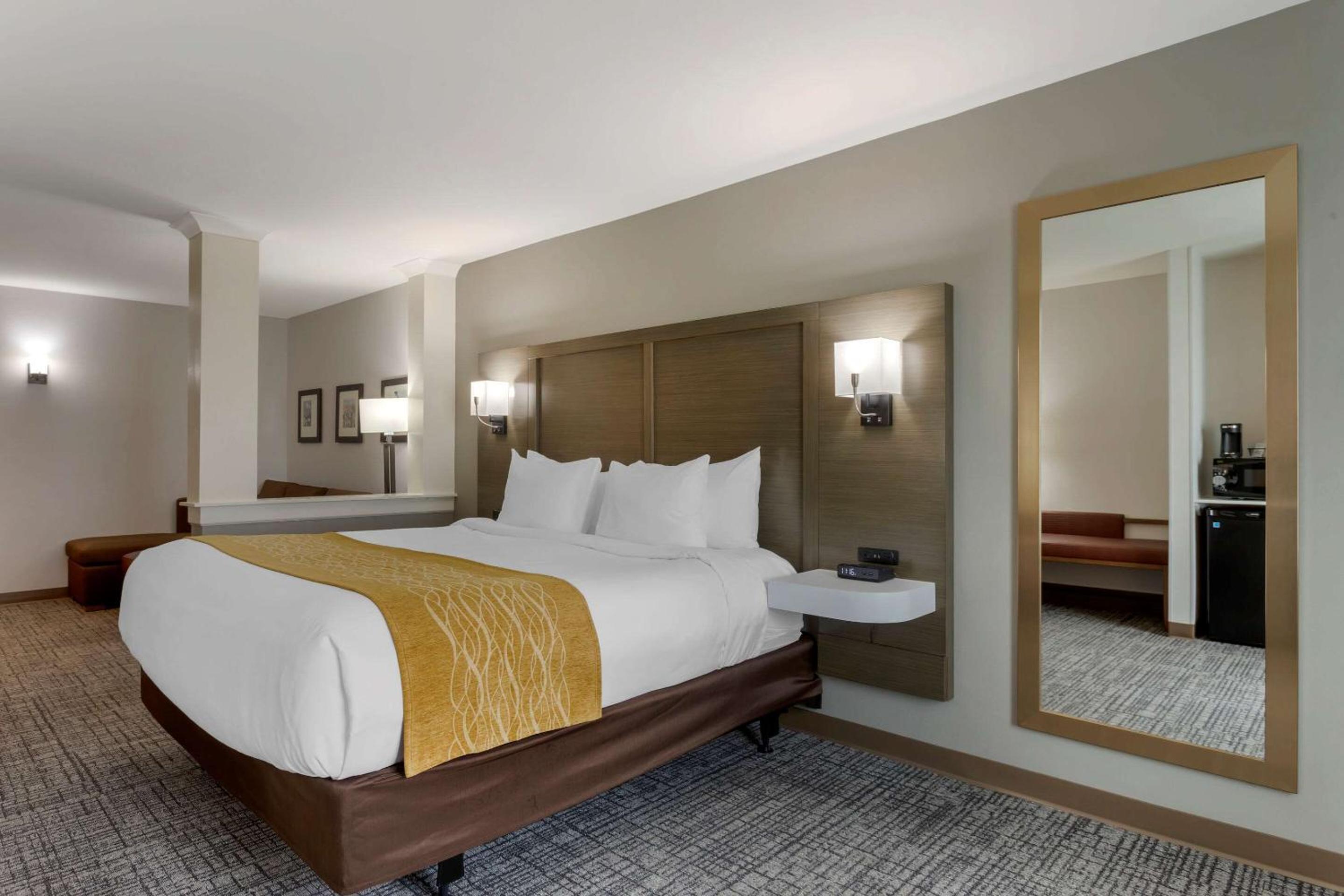 King Suite with Accessible Tub and Sofabed - Accessible/Non Smoking - Photo 6
