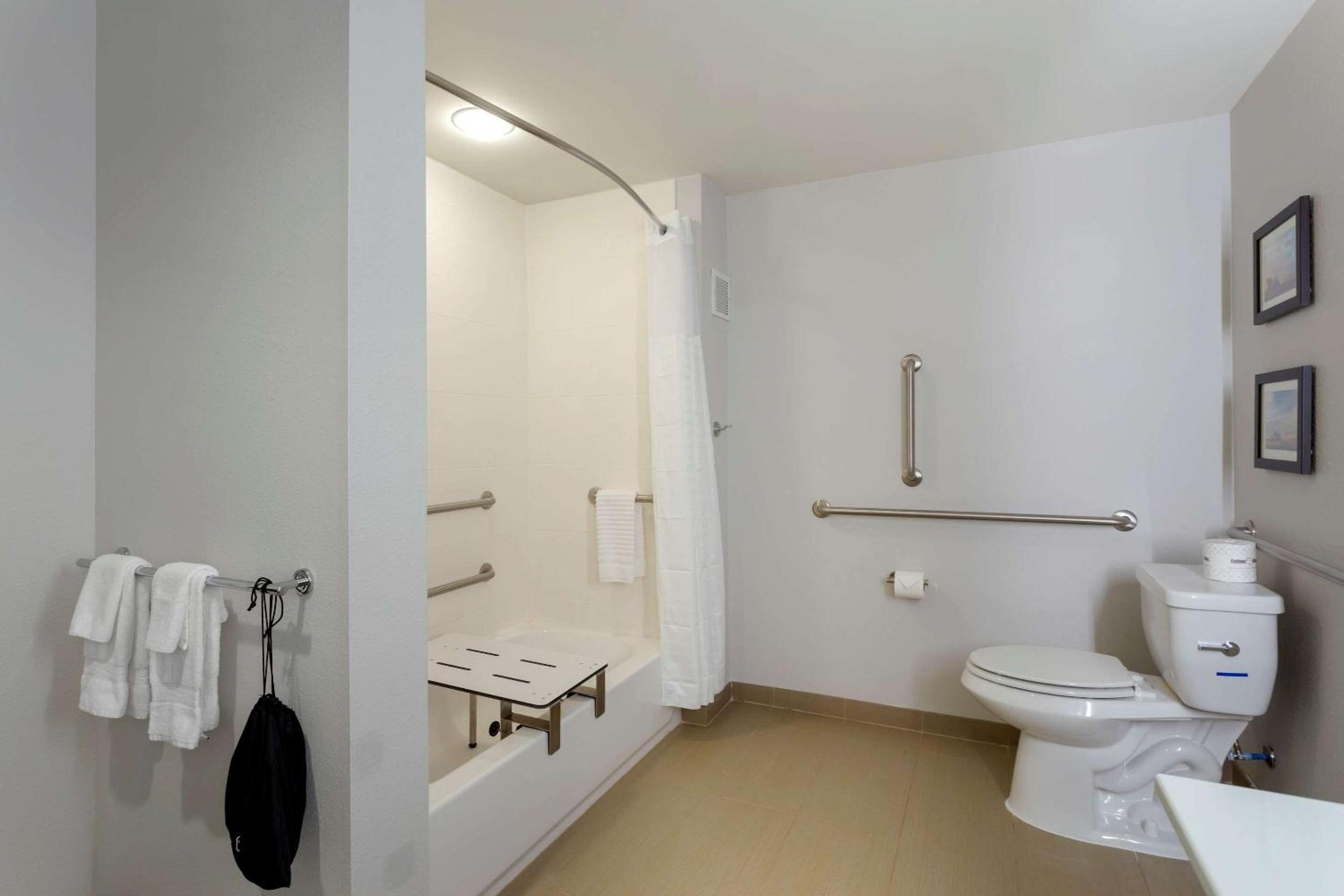 King Suite with Accessible Tub and Sofabed - Accessible/Non Smoking - Photo 3