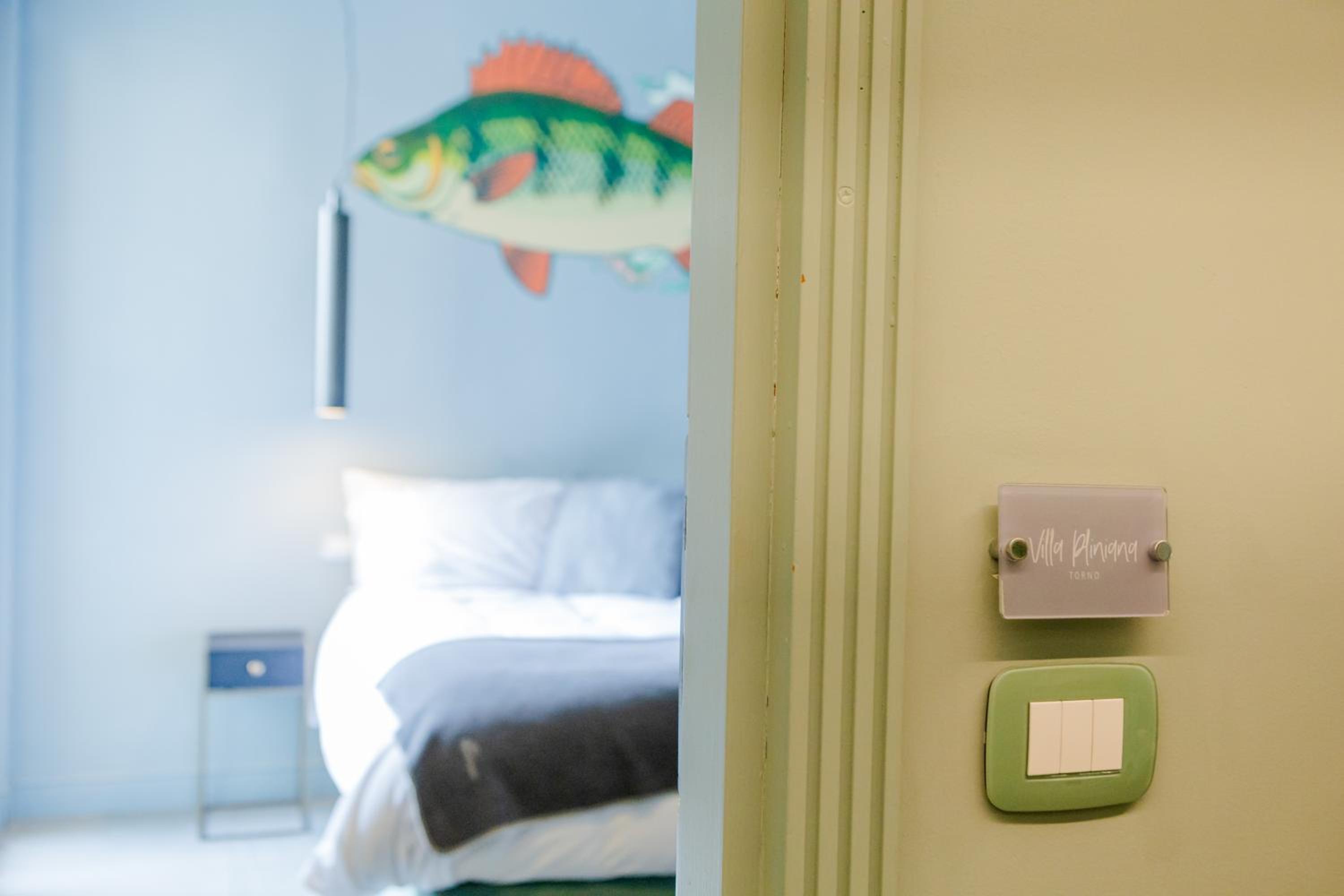 Double Room with Balcony and Lake View photo 1