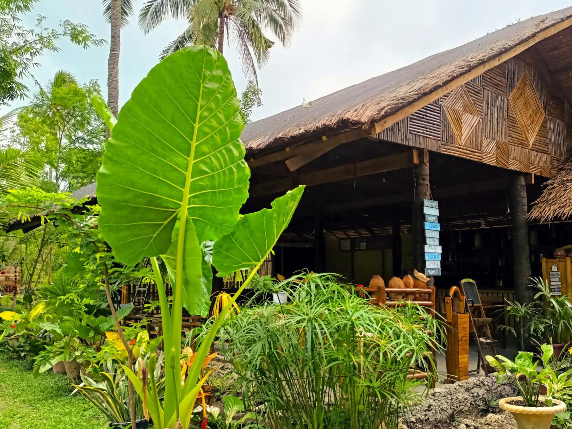 Bungalow with Patio photo 2
