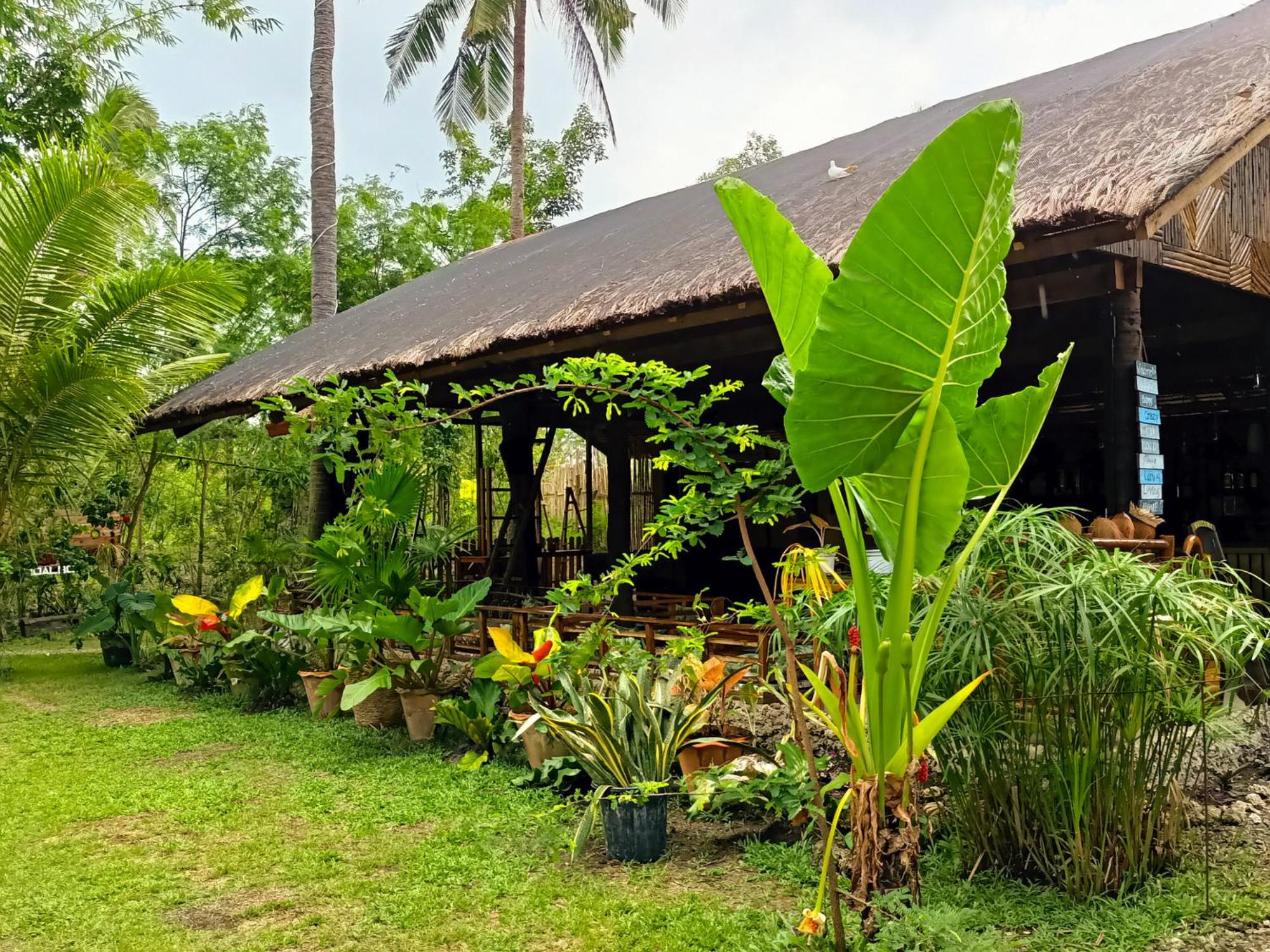 Bungalow with Fan photo 3