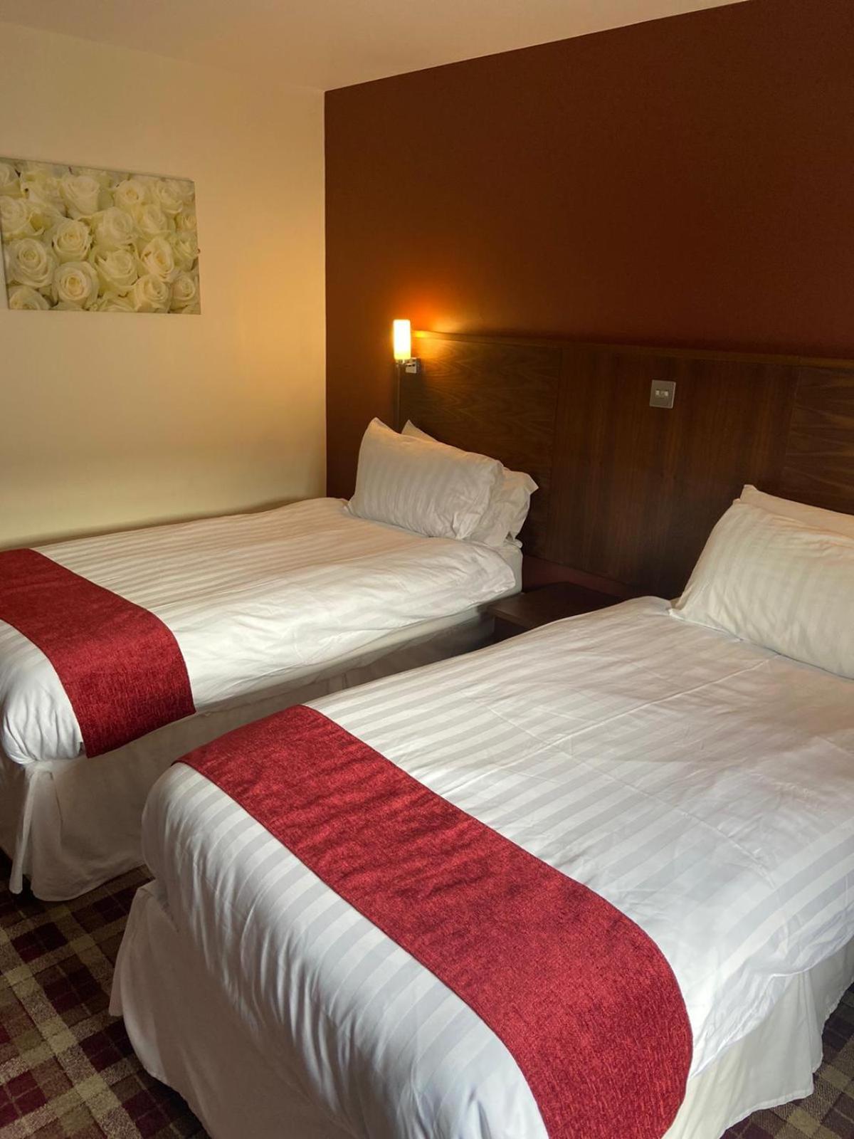 Deluxe Twin Room - Photo 2
