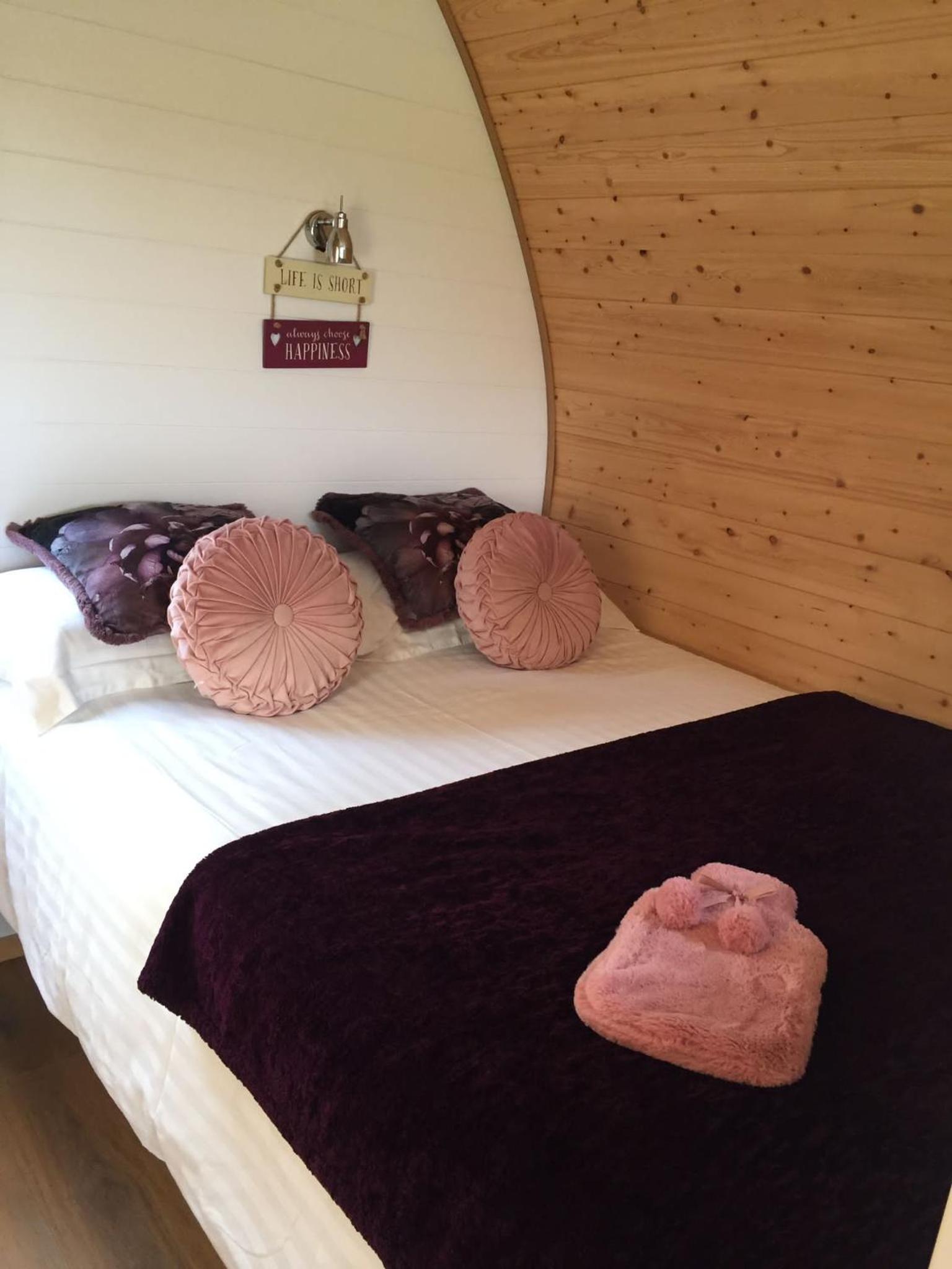 Deluxe Family Room (No hot tub) - Pet Friendly - Photo 1