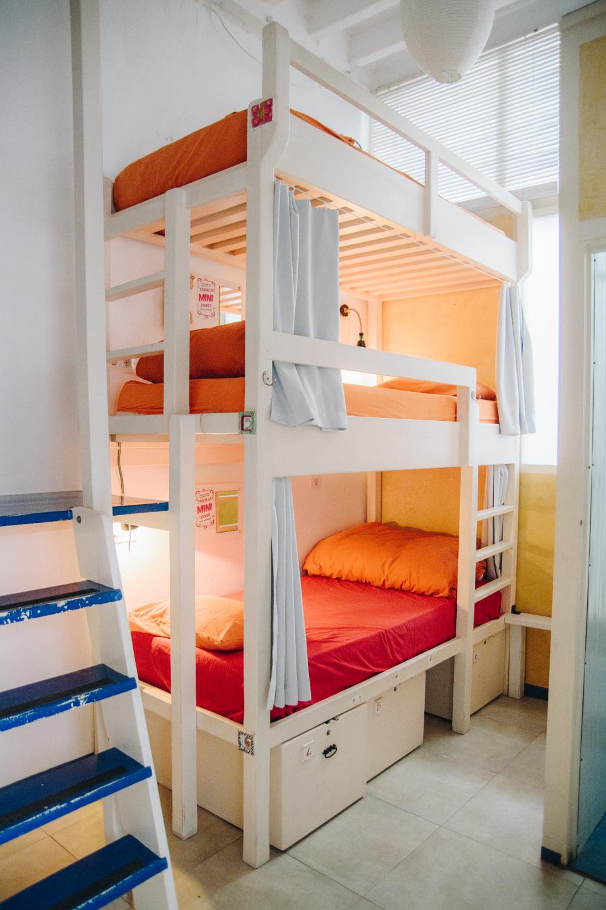 Bed in 7-Bed Female Dormitory Room with en-suite Bathroom photo 3