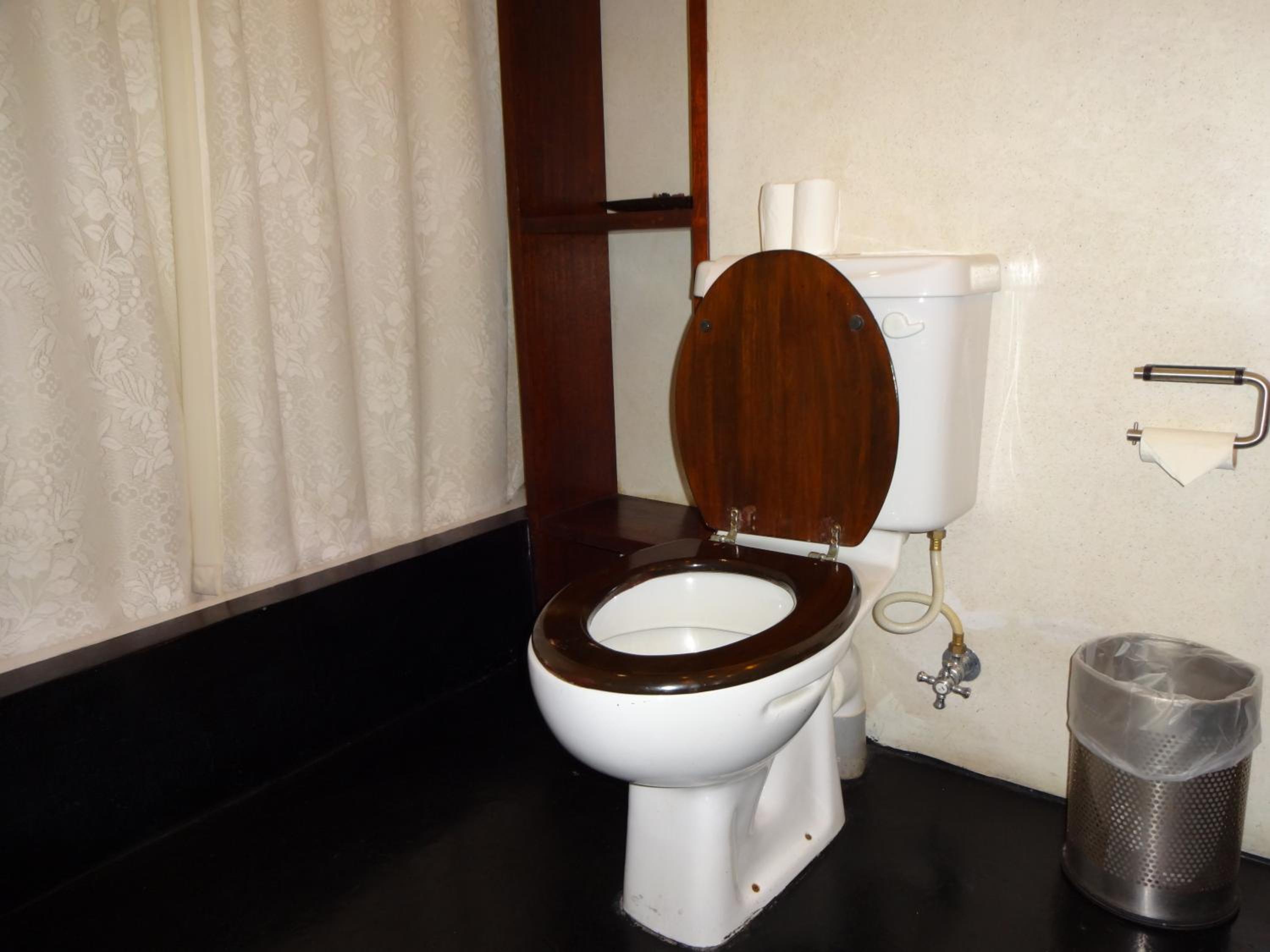 Deluxe Double or Twin Room   - Photo 4