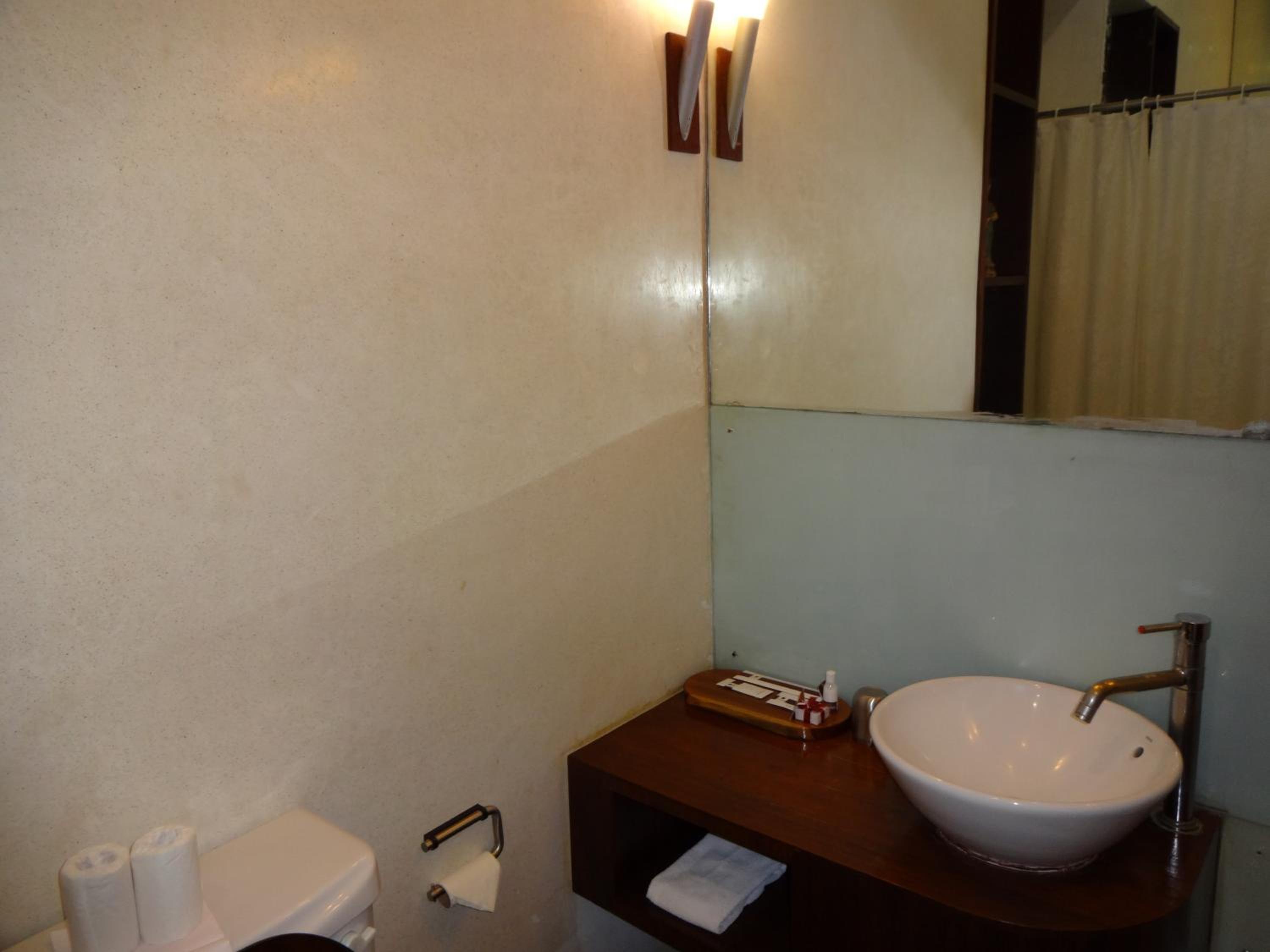 Deluxe Double or Twin Room   - Photo 2