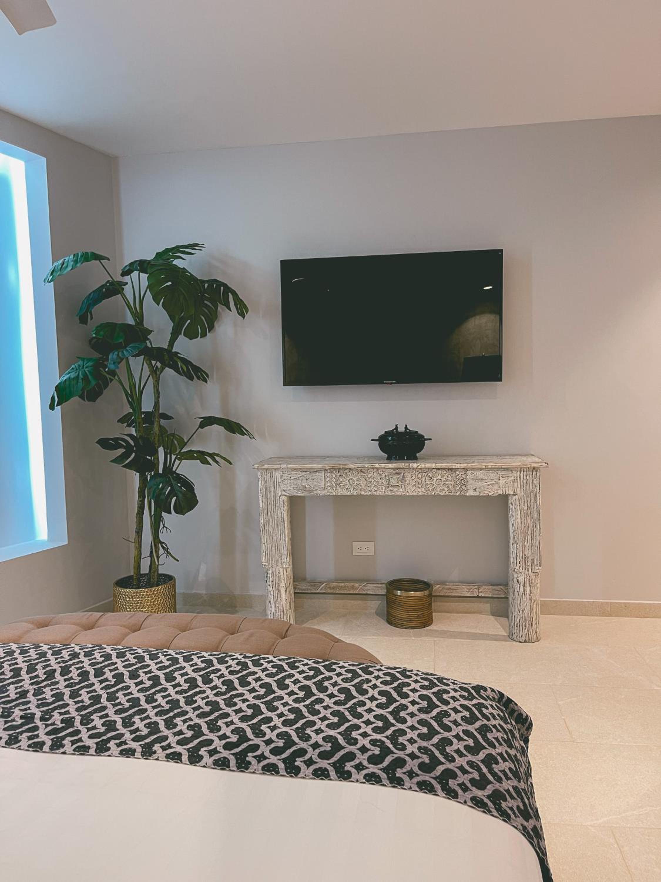 Suite - Photo 20