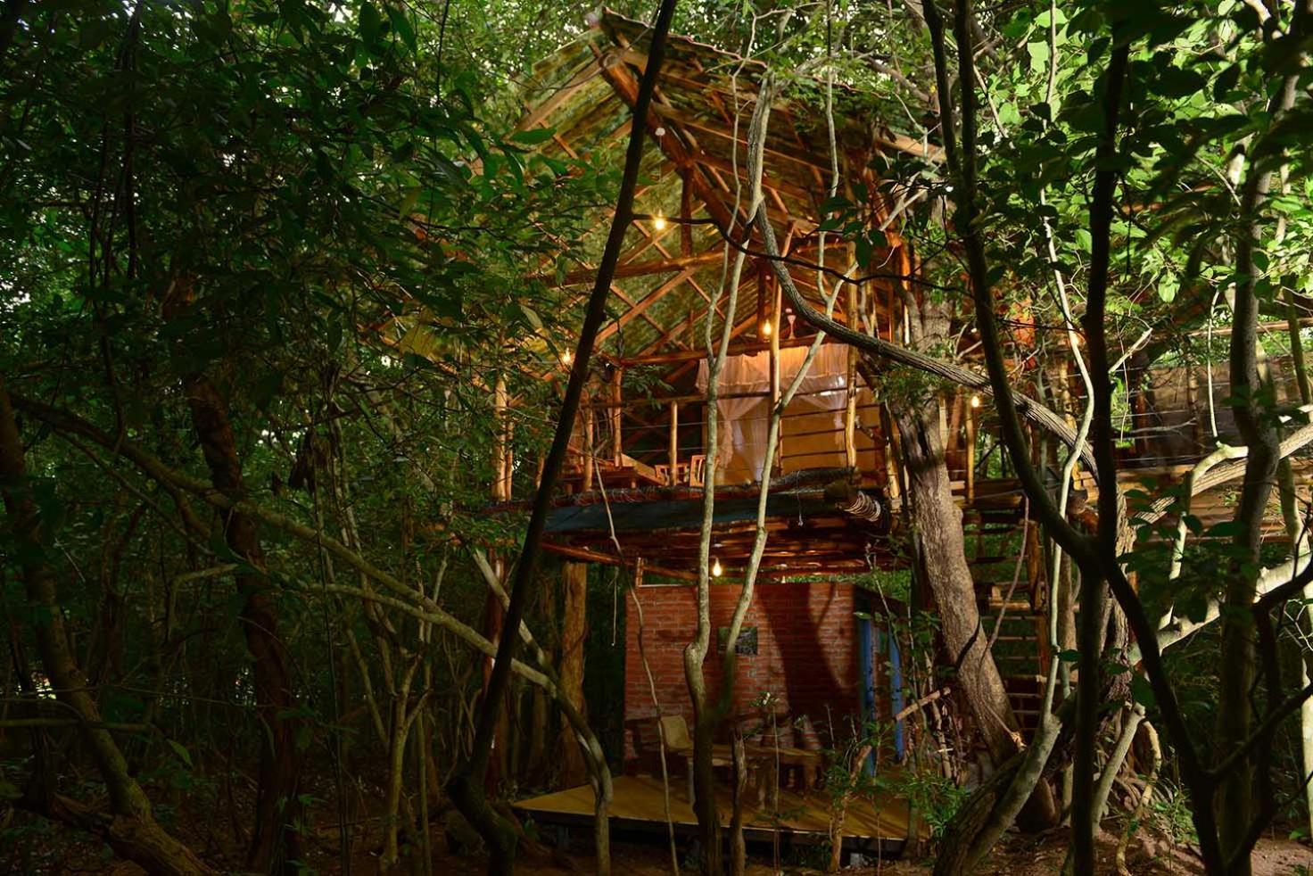 Family Tree House photo 2