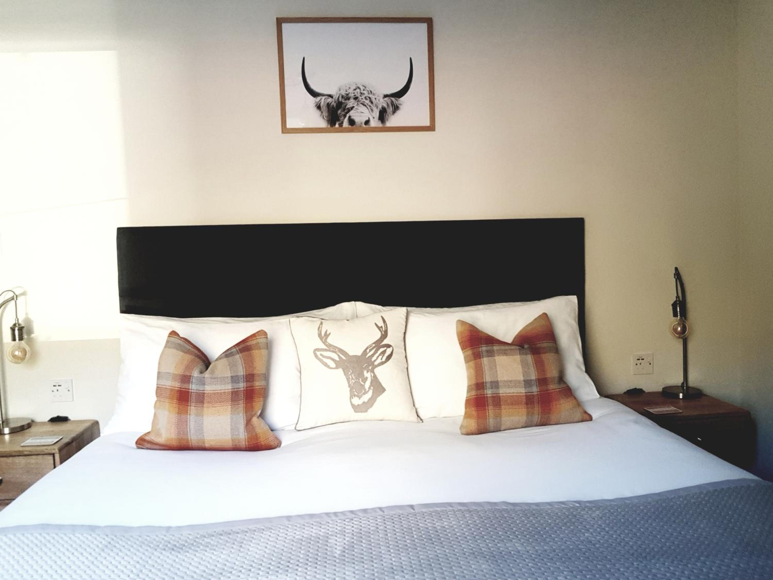 King Suite - Photo 6