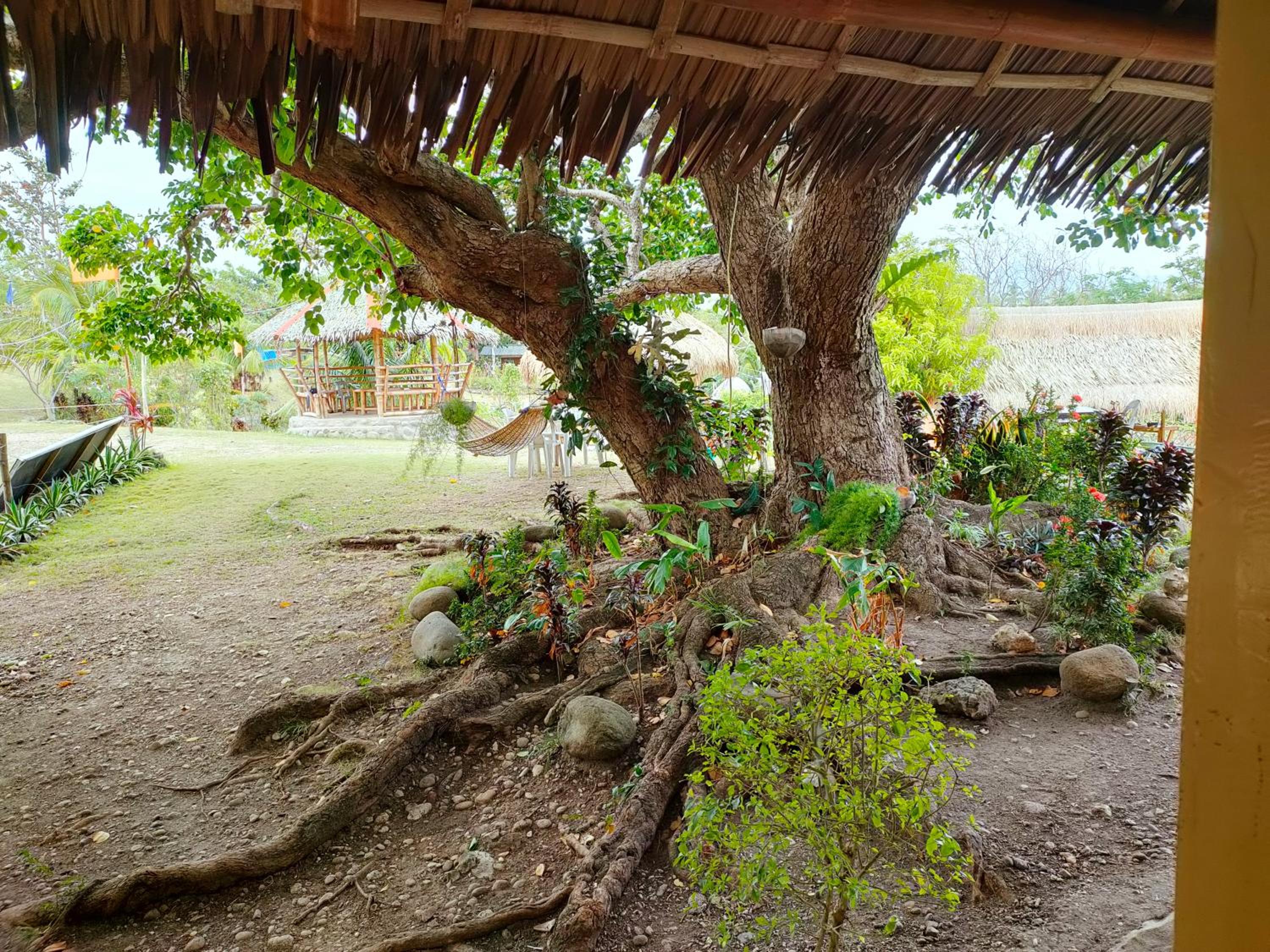 Bungalow - Photo 2