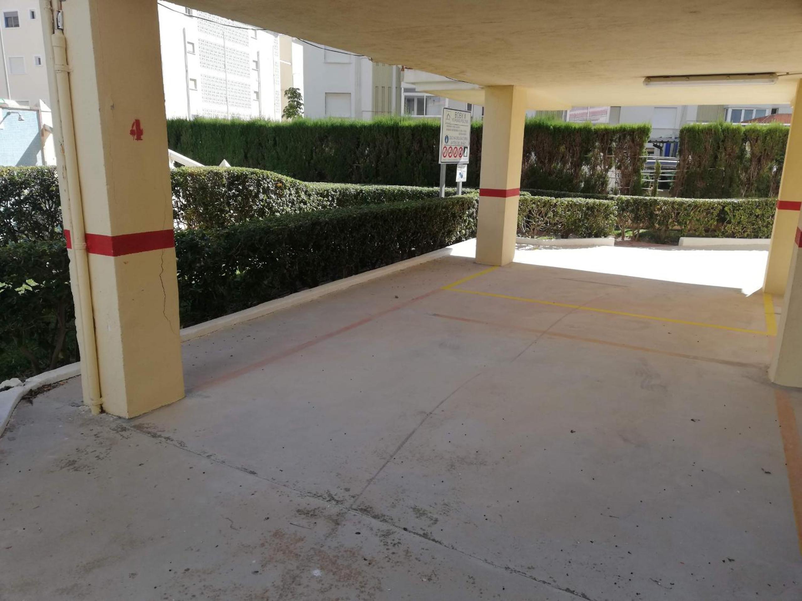 Apartment with Terrace photo 3