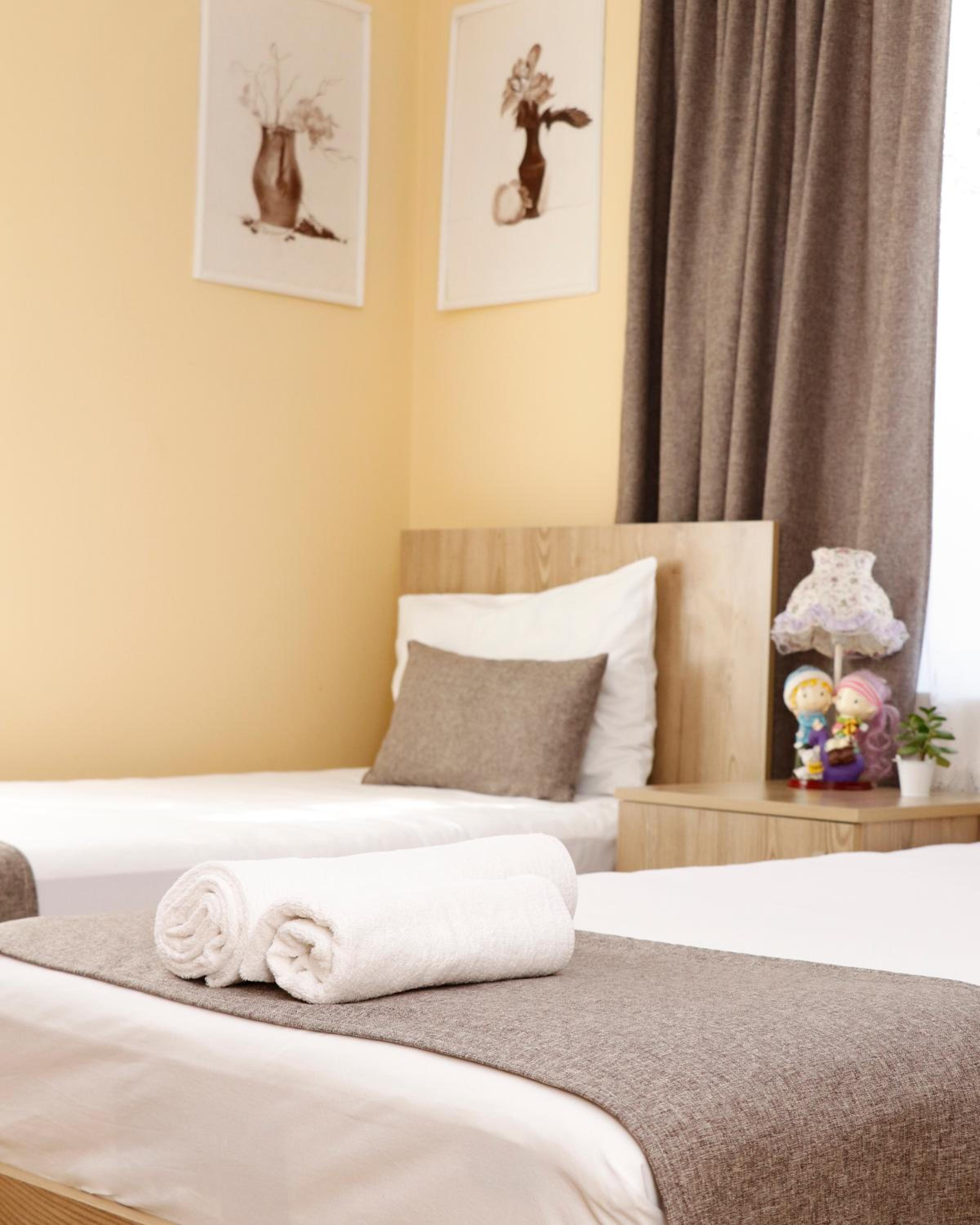 Double or Twin Room with Mountain View photo 3