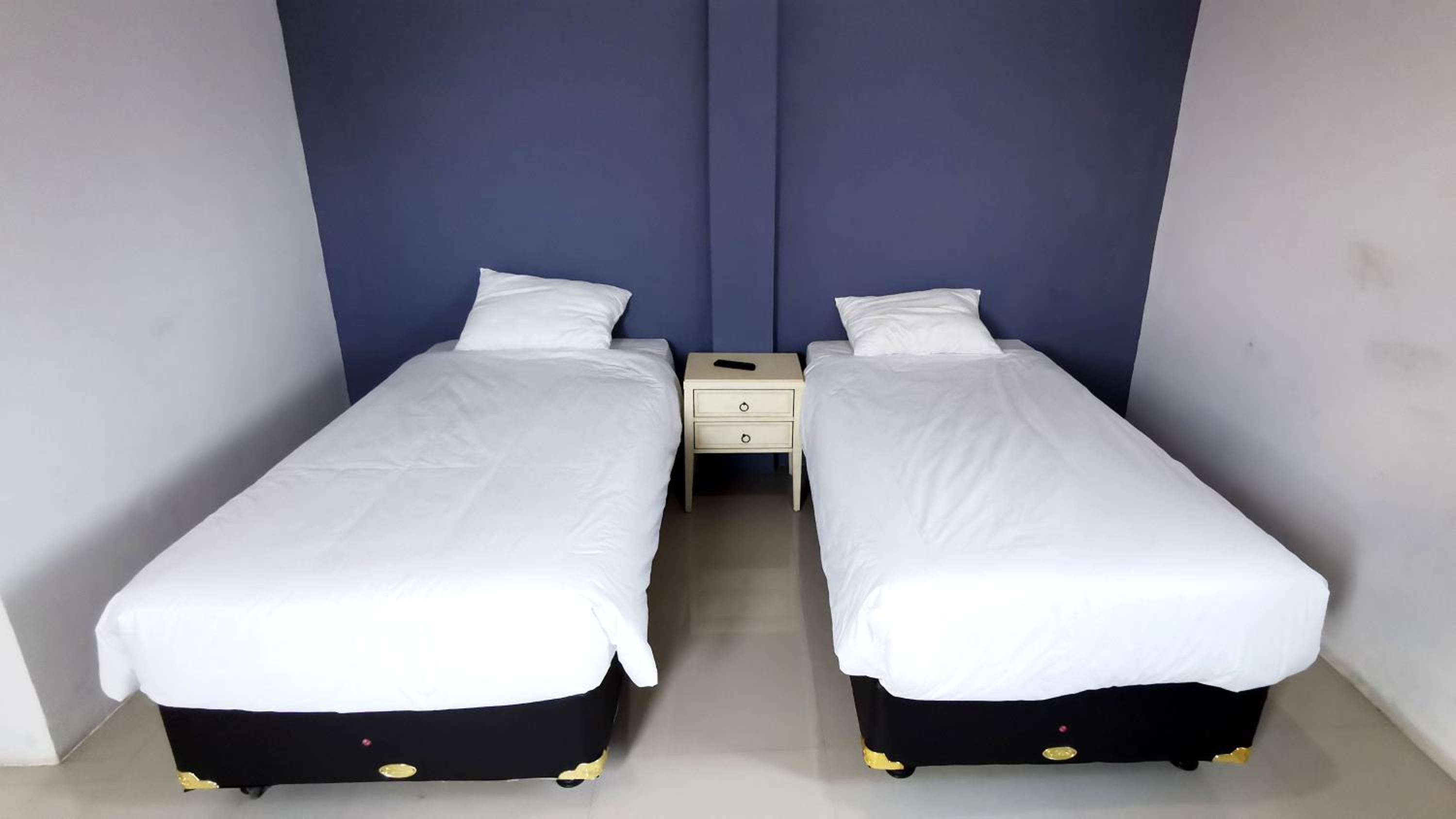Large Twin Room photo 3