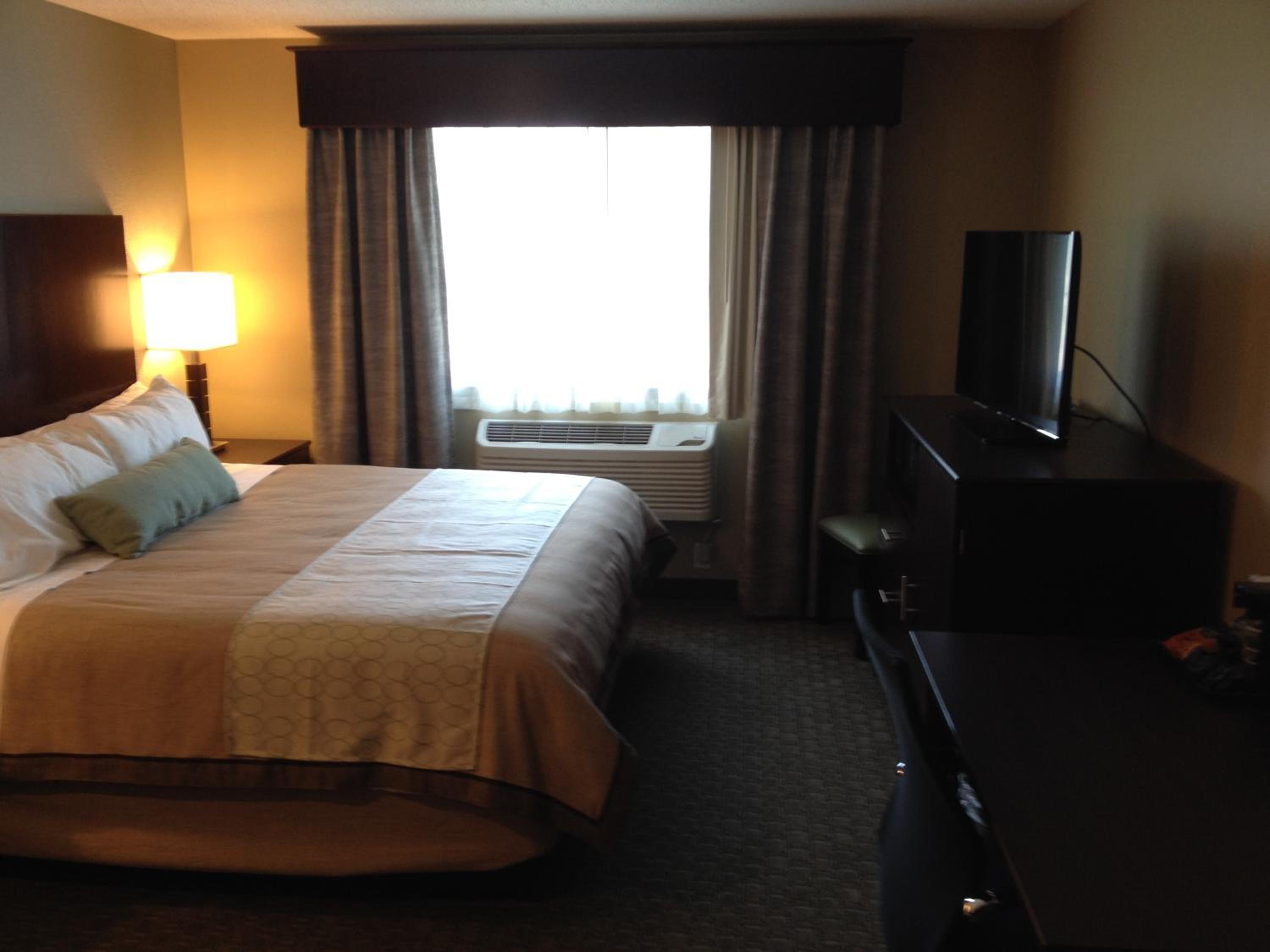 Queen Room - Disability Access photo 2