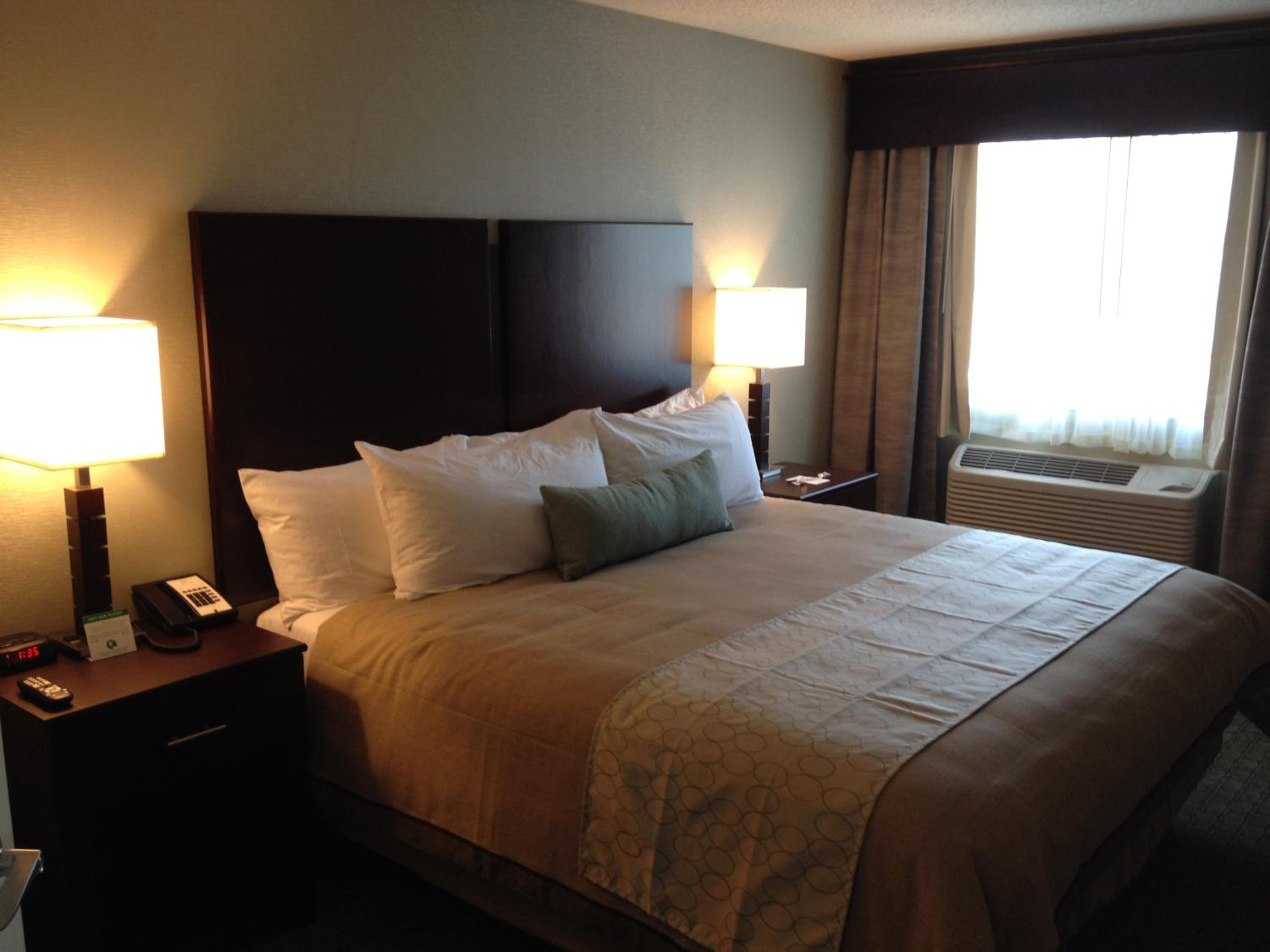 Queen Room - Disability Access photo 1