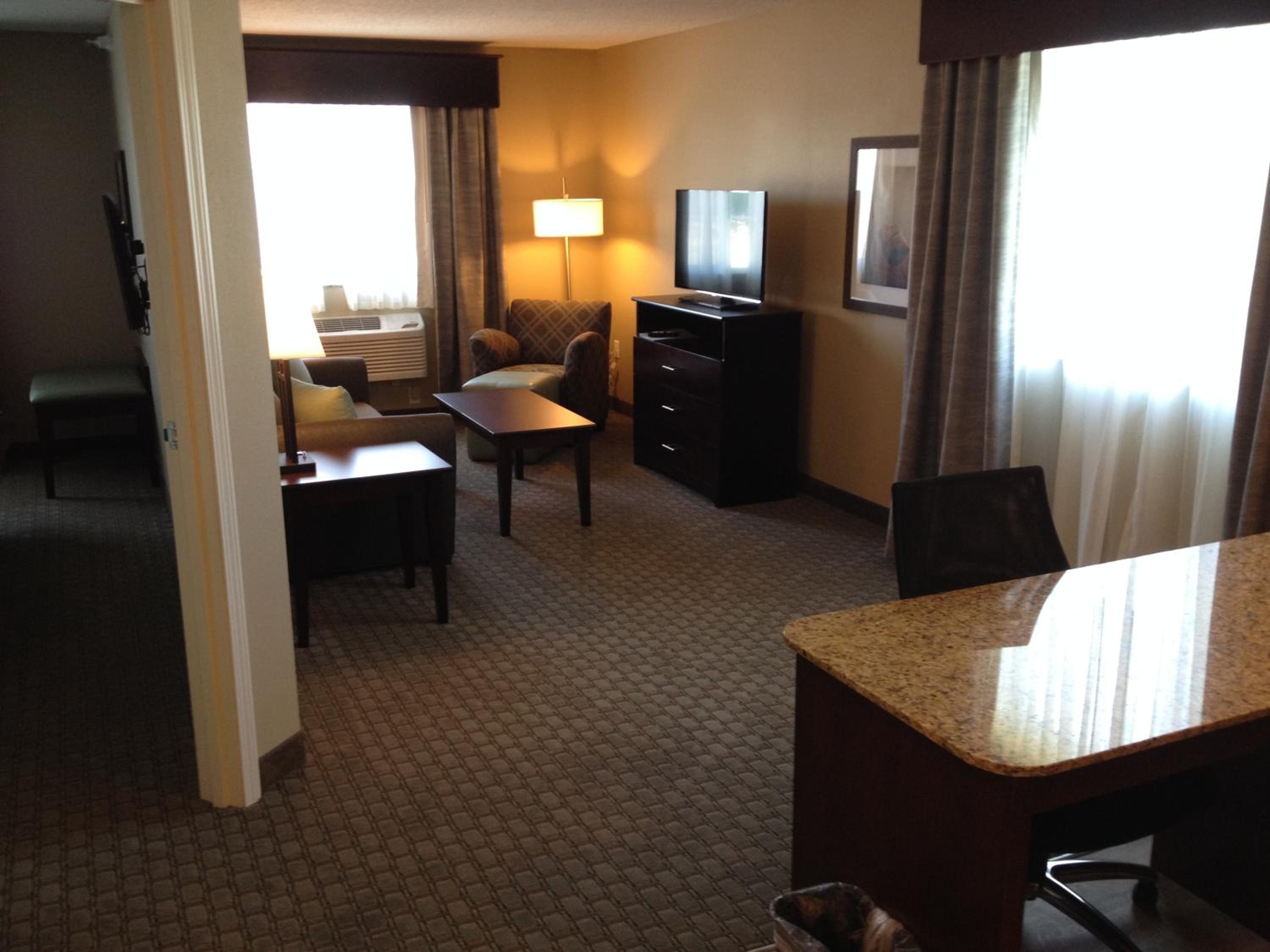 One-Bedroom Suite photo 2