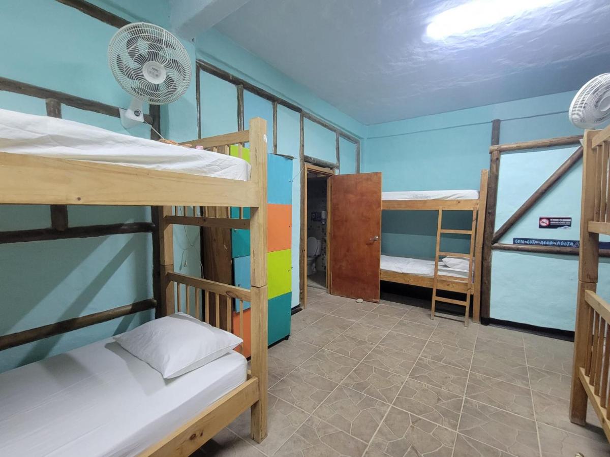 Bunk Bed in Mixed Dormitory Room photo 2