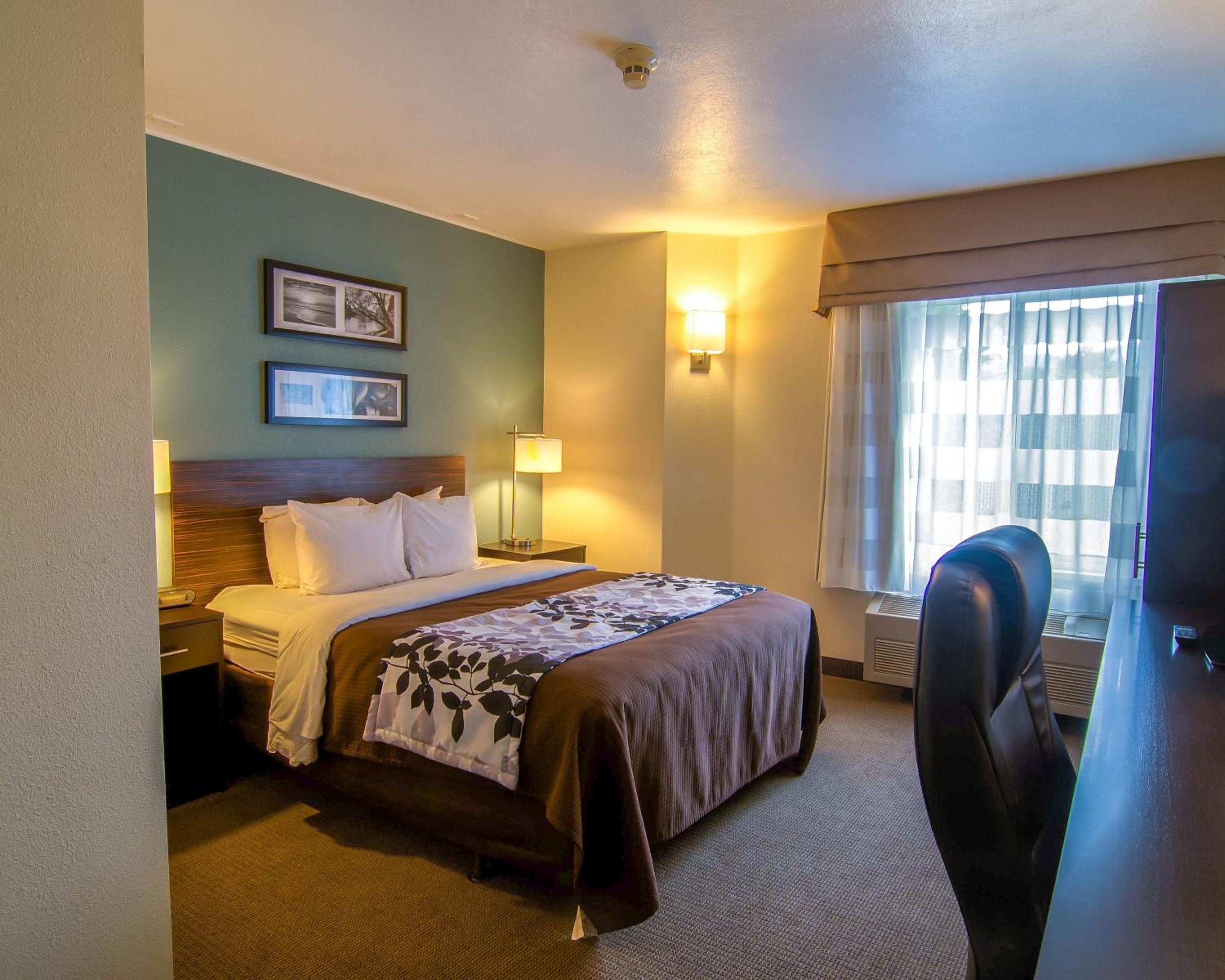 Queen Room - Non-Smoking - Photo 4