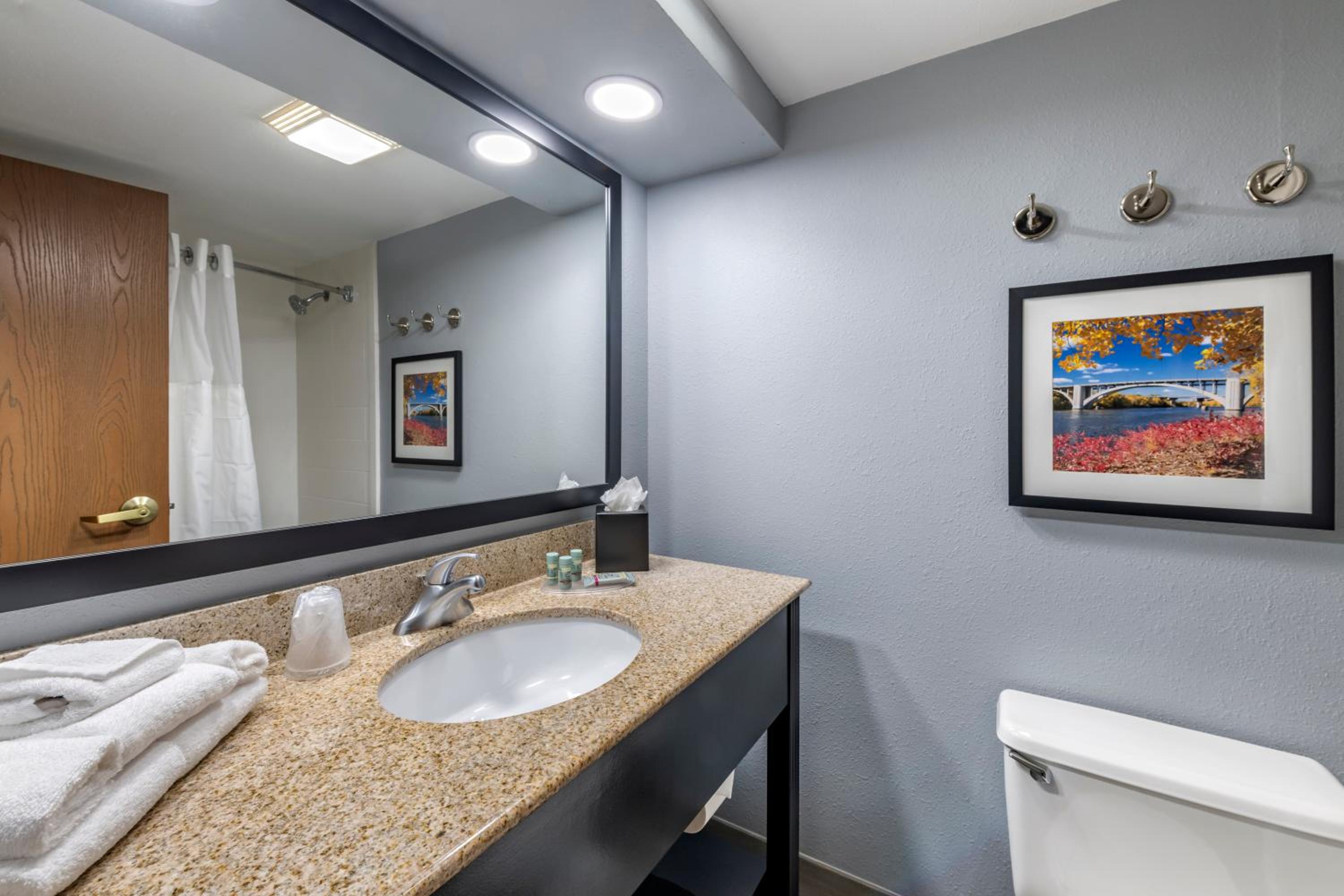 King Room with Roll-in Shower - Disability Access/Non-Smoking - Photo 3