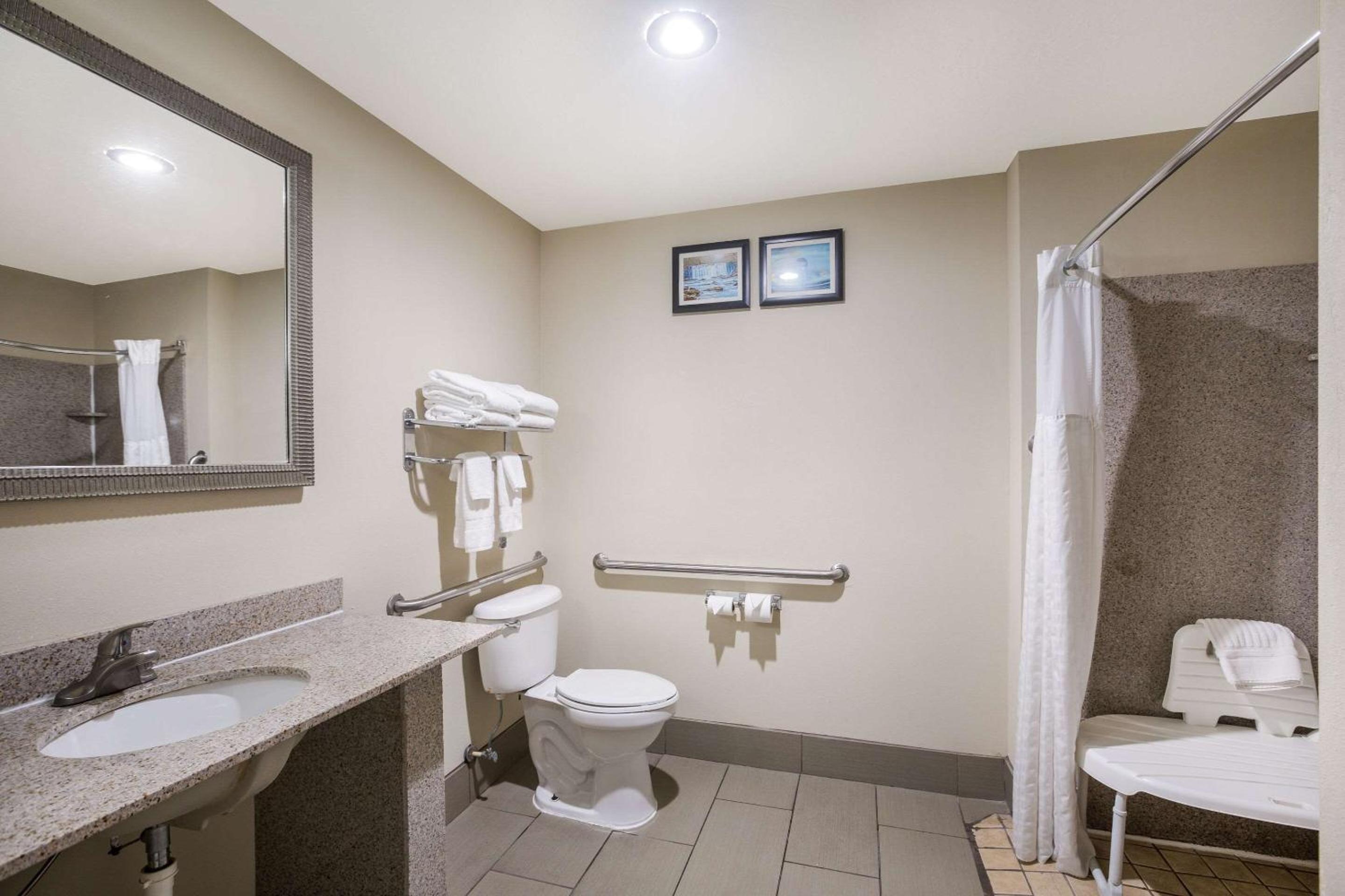 King Suite with Roll-In Shower - Accessible/Non-Smoking - Photo 3