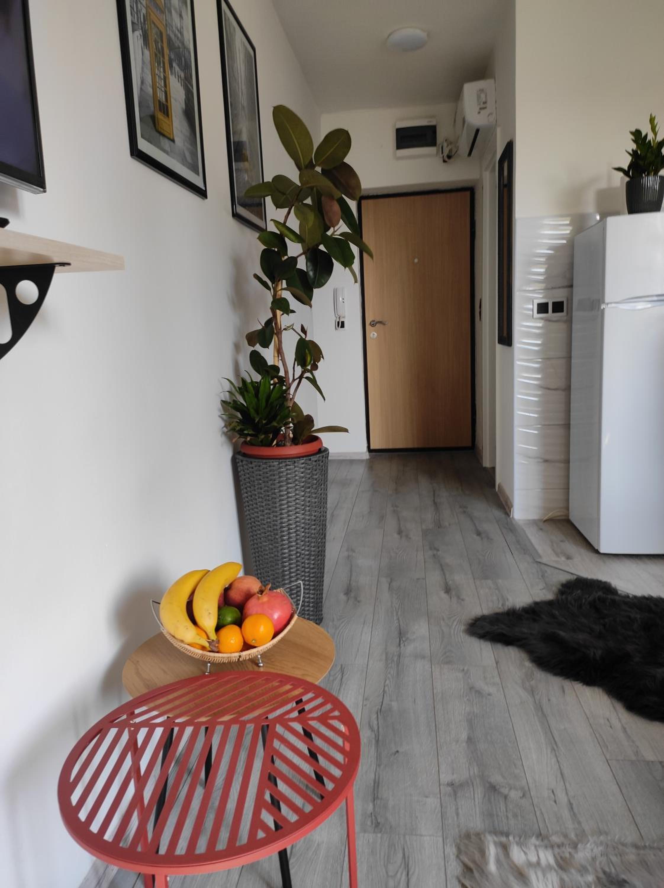 One-Bedroom Apartment photo 2