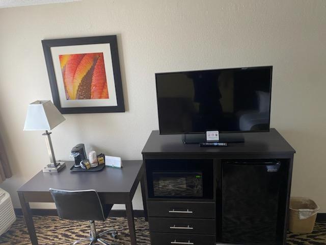 King Room - Non-Smoking - Photo 5