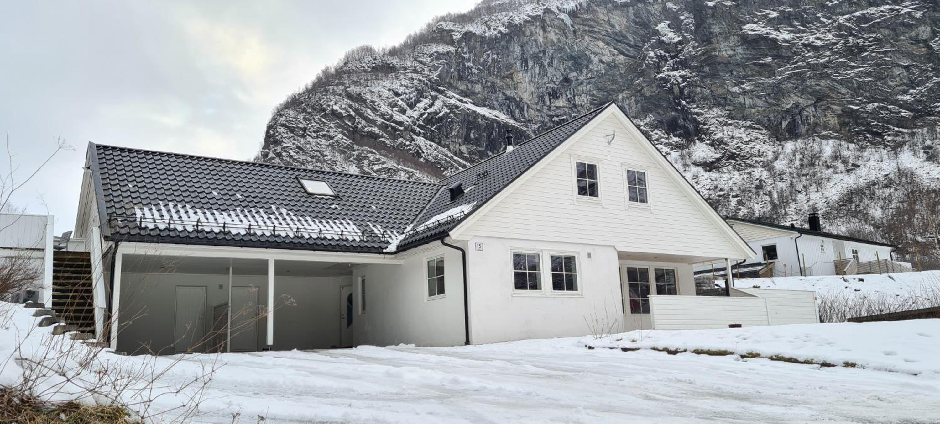 Three-Bedroom House photo 3