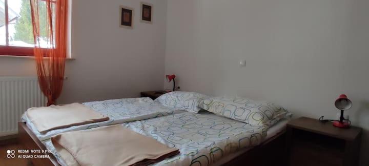 Apartment with Terrace photo 3