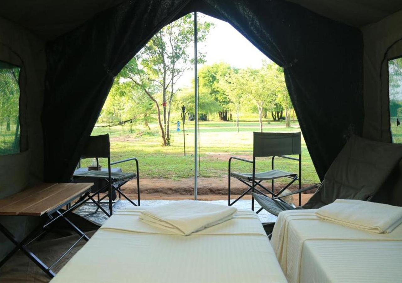  Family Glamping bordering Wilpattu with a guided bush walk photo 3