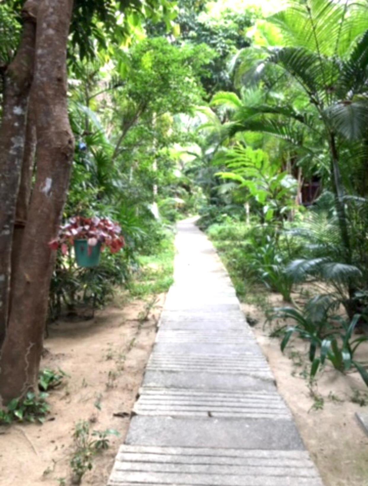 Family Bamboo Bungalow with Garden View - Fan photo 3