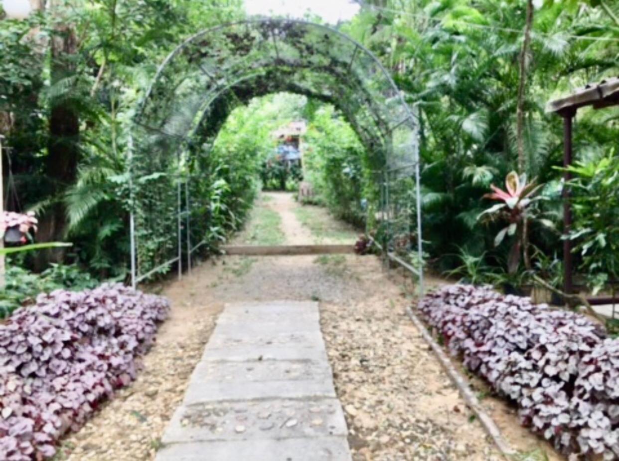 Family Bamboo Bungalow with Garden View - Fan photo 2