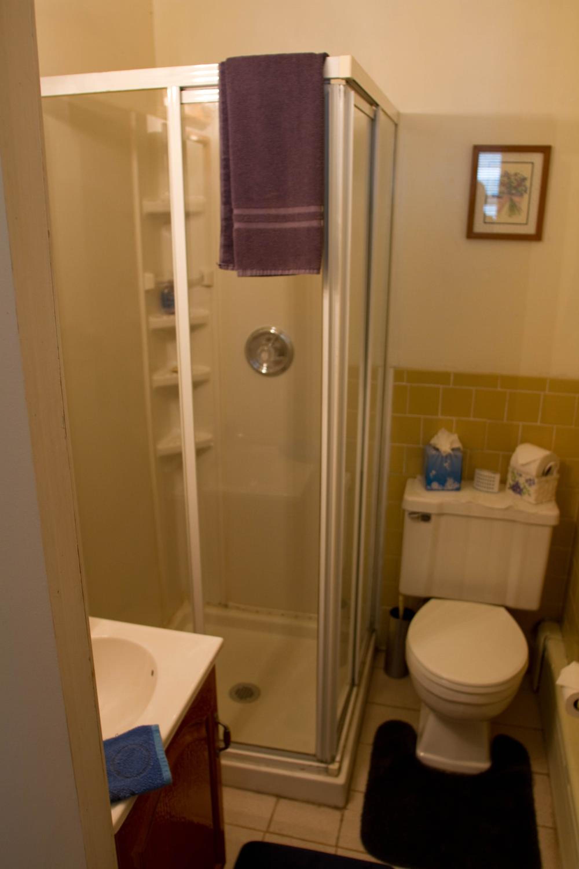 One-Bedroom Apartment Suite photo 1