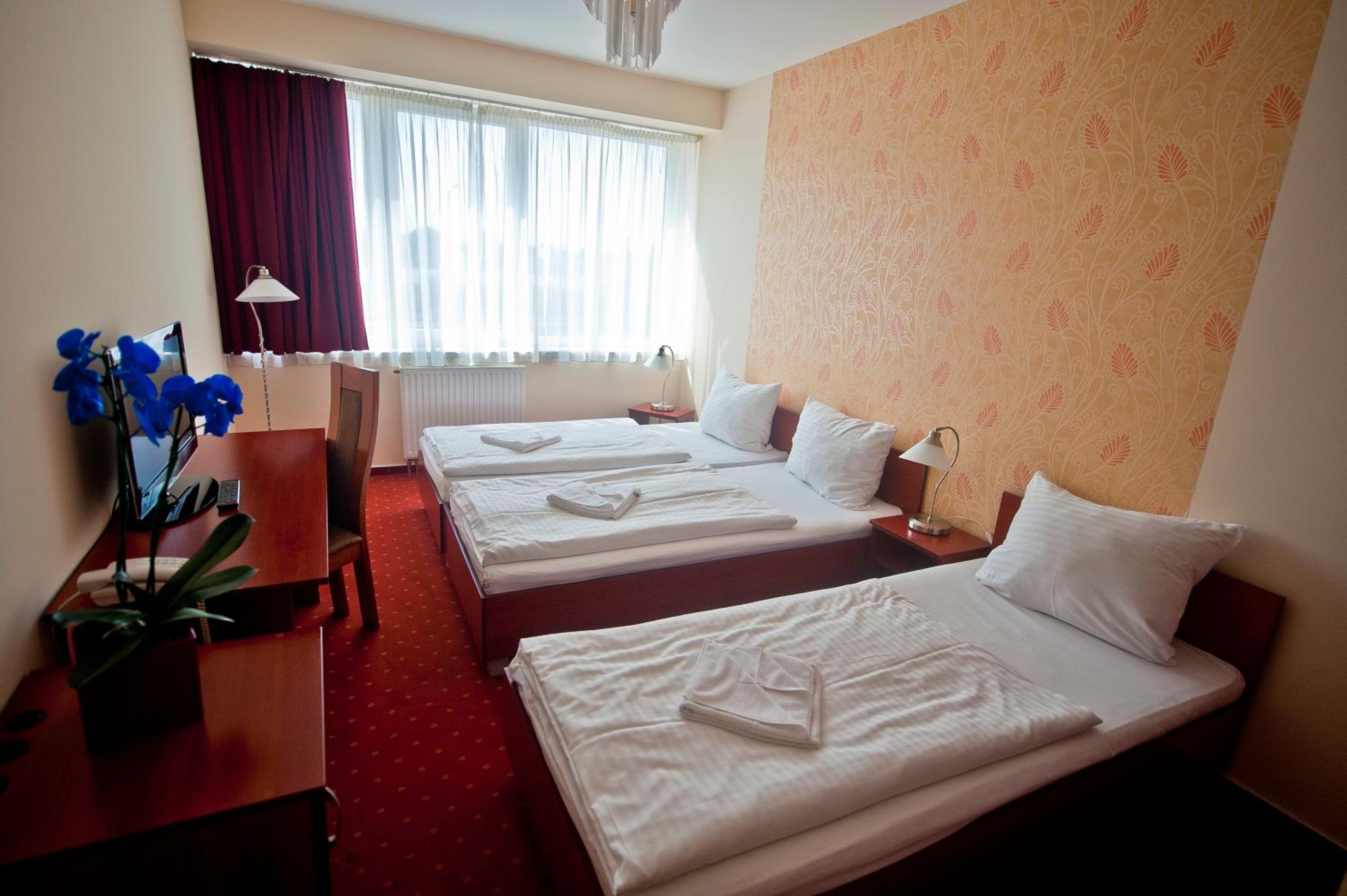 Triple Room - Photo 7