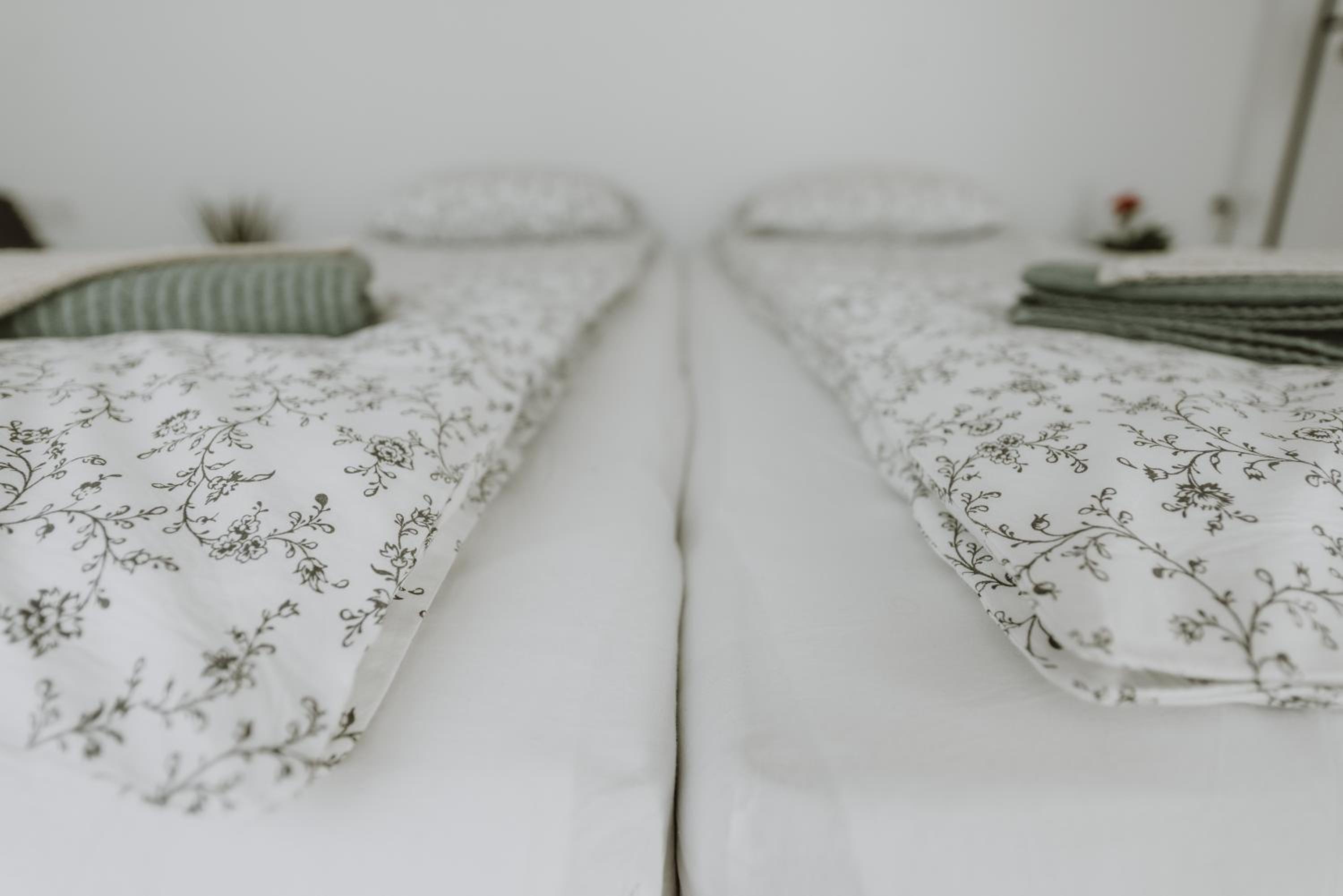 Comfort Triple Room photo 3