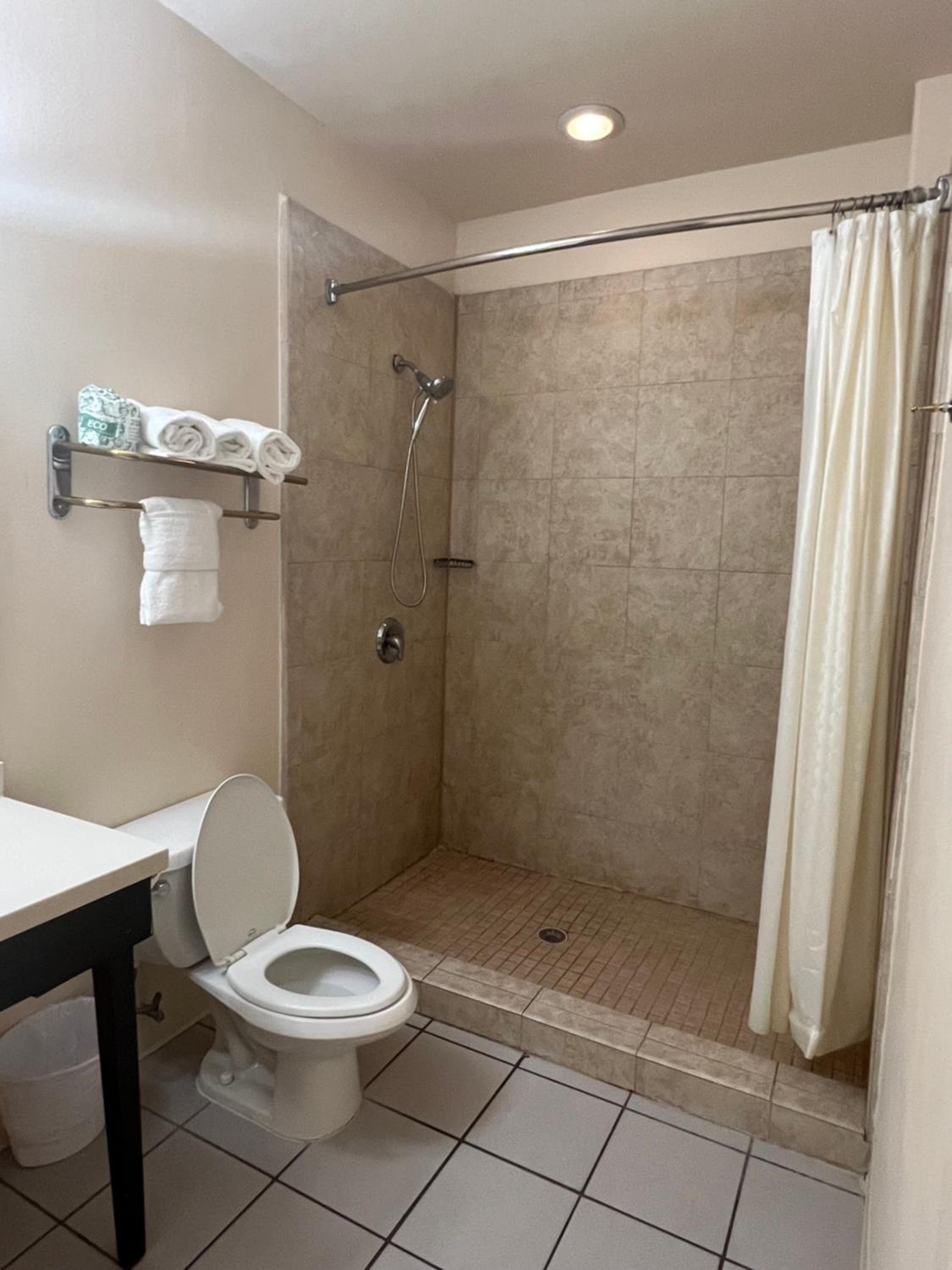 Deluxe King with Kitchenette and Sofa Bed - Photo 14