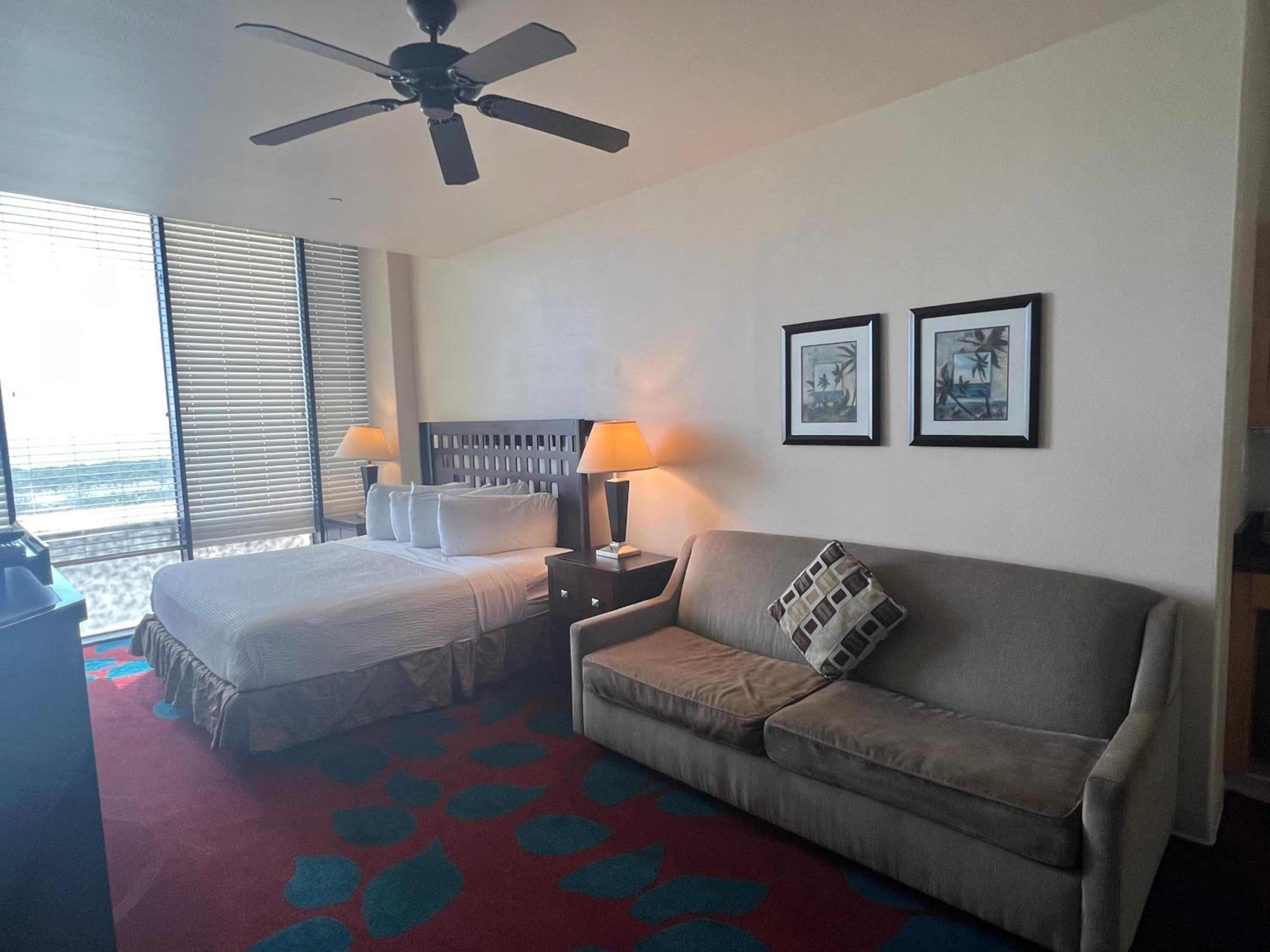 Deluxe King with Kitchenette and Sofa Bed - Photo 10