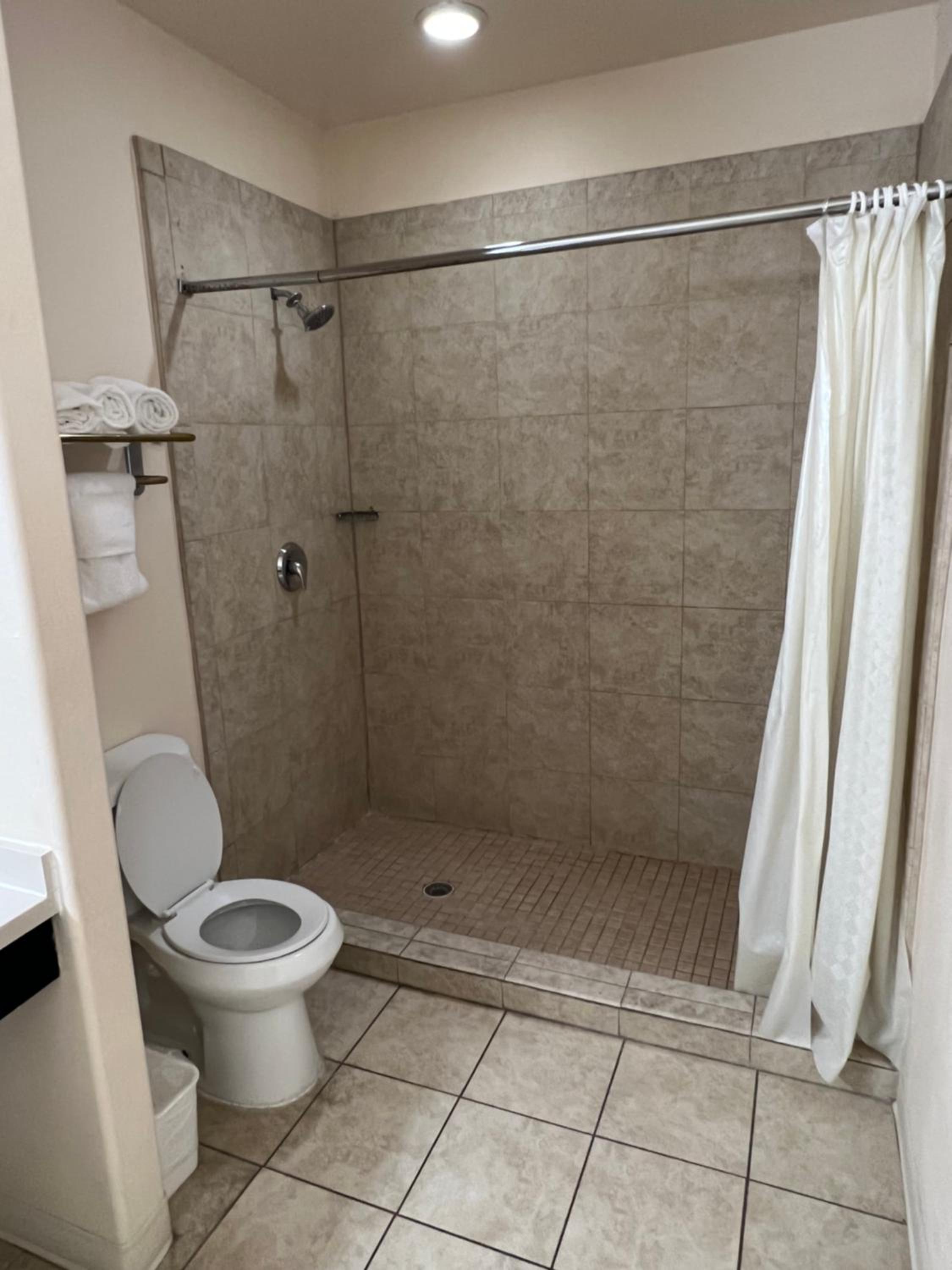 Deluxe King with Kitchenette and Sofa Bed - Photo 11