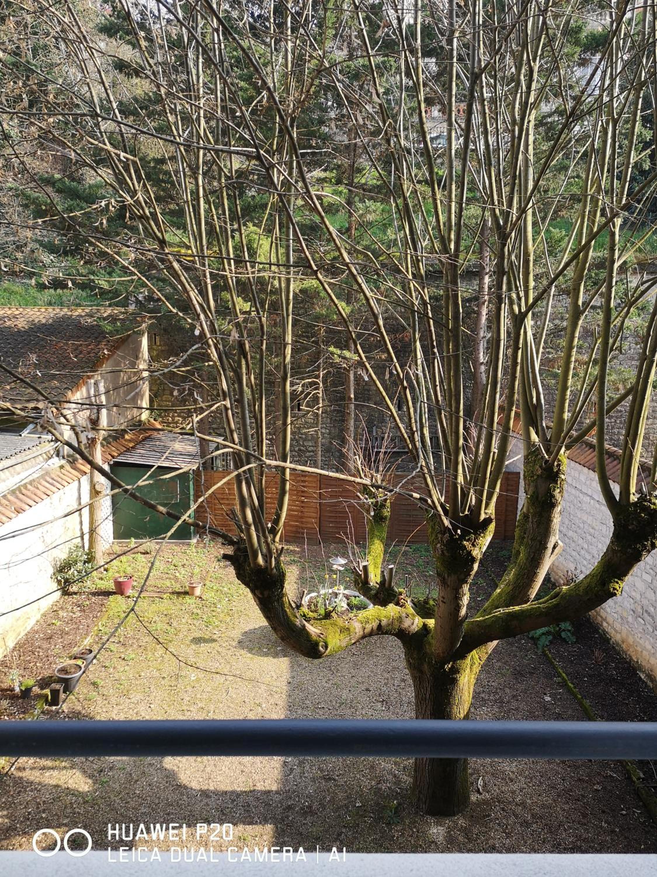 Standard Double Room photo 2