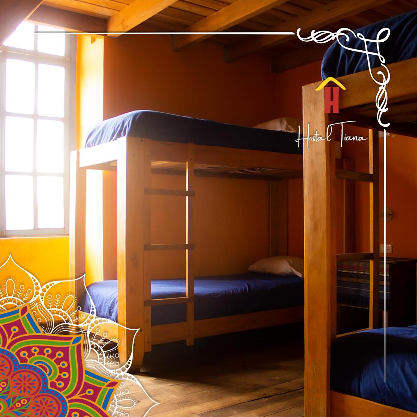 Single Bed in Mixed Dormitory Room photo 2