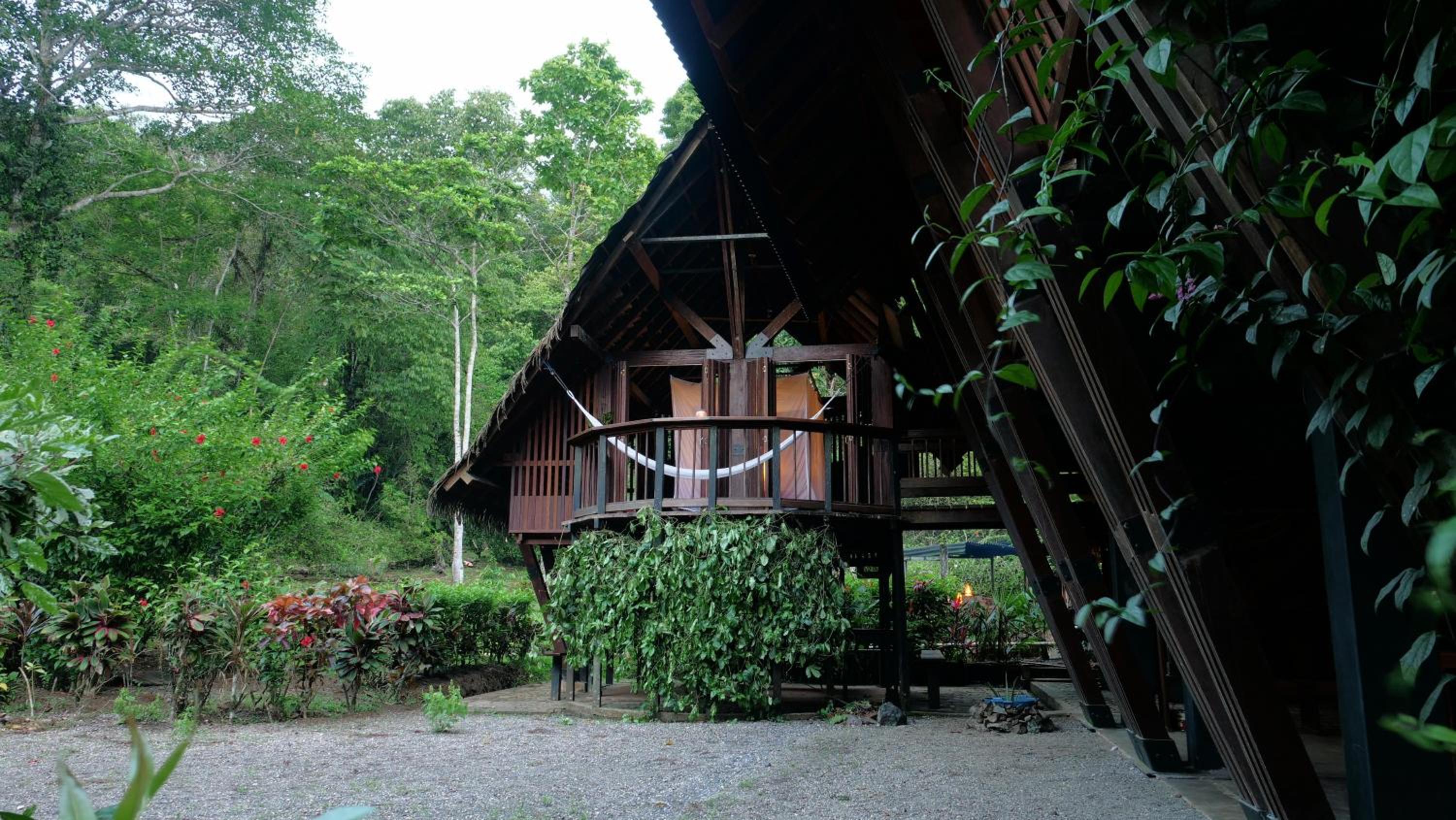 Bungalow with Sea View photo 3