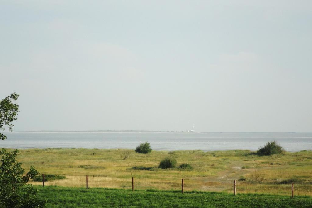 Apartment with Sea View photo 3