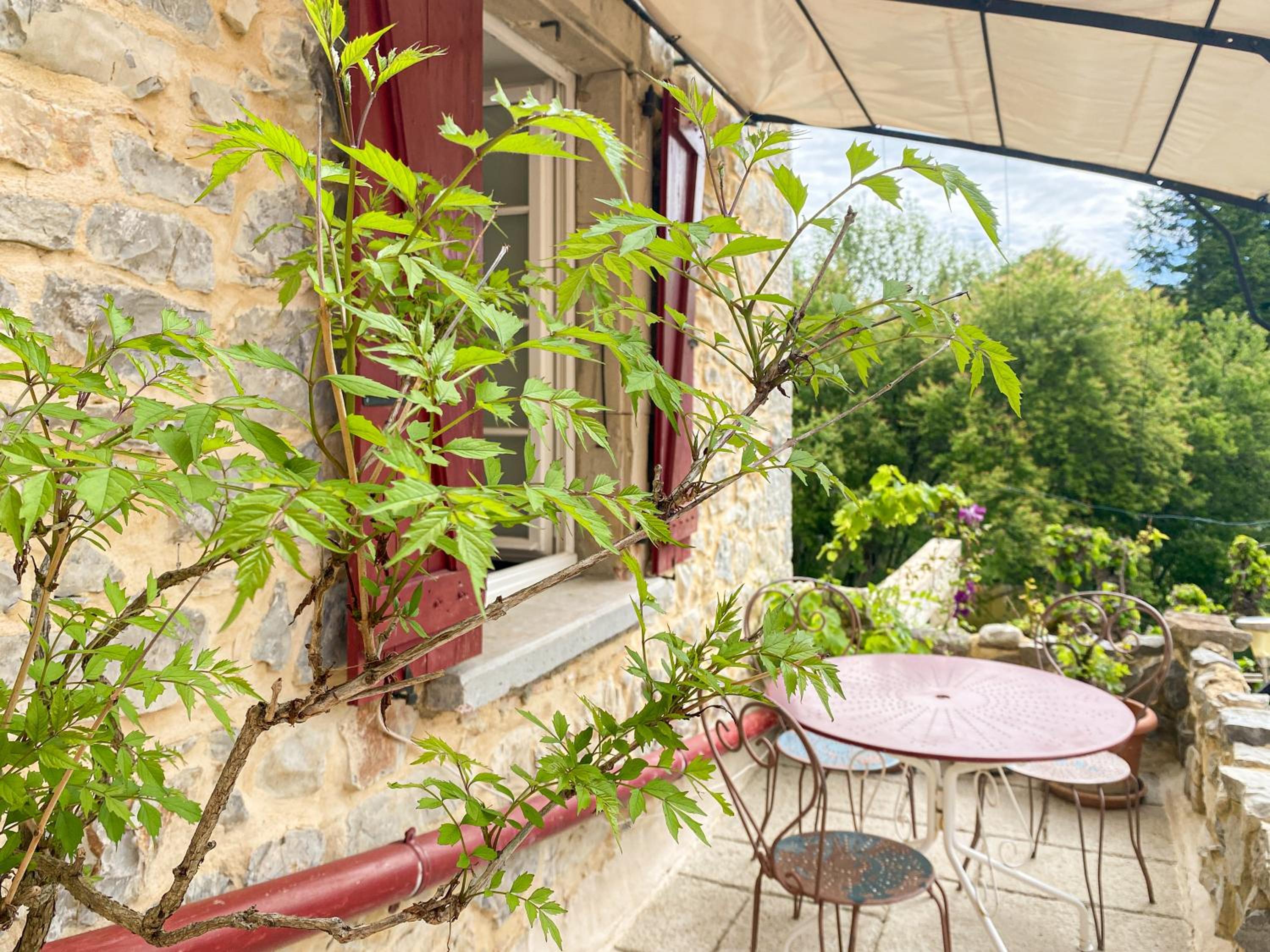 One-Bedroom Cottage - Photo 6