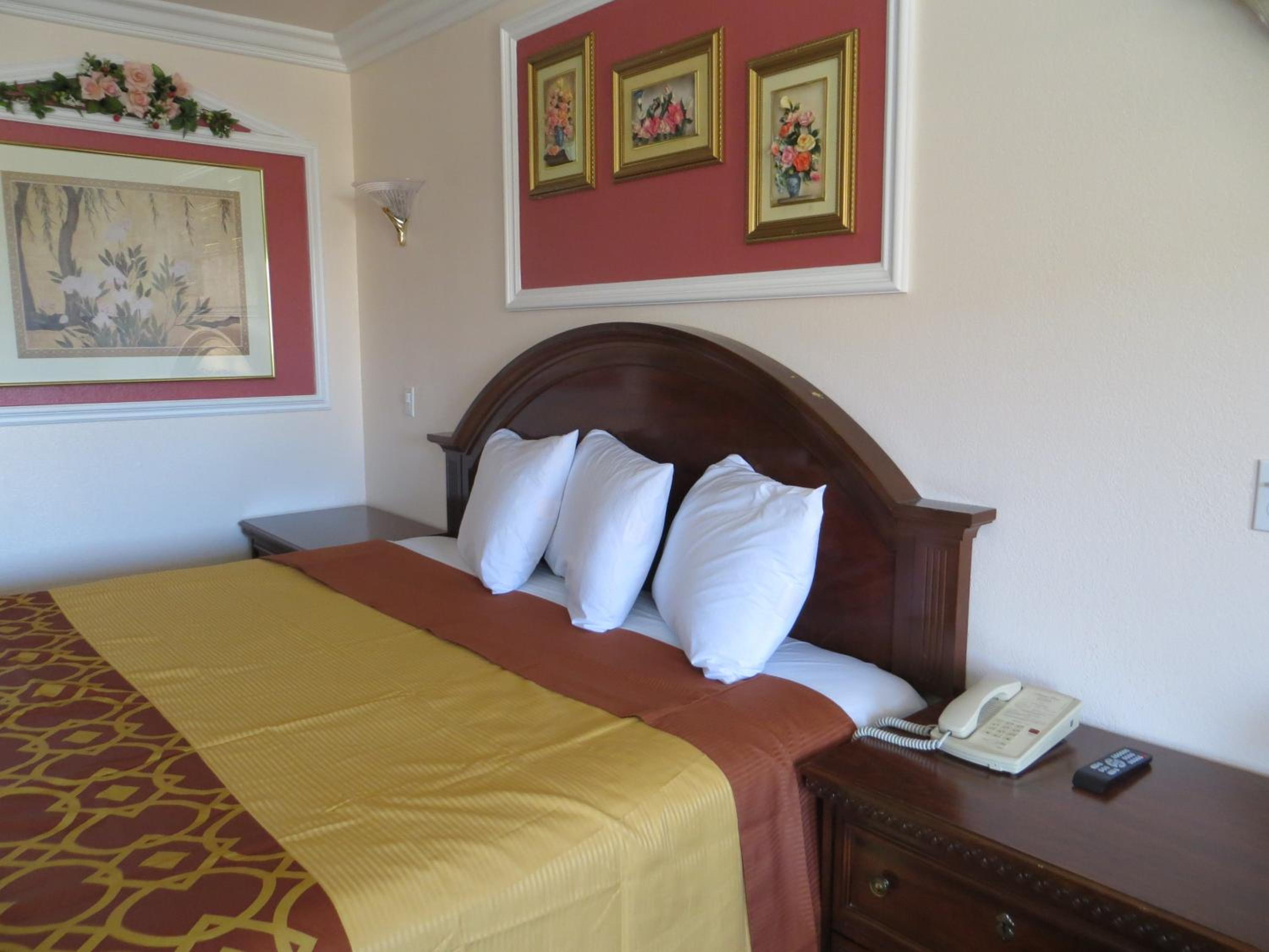 King Room photo 1