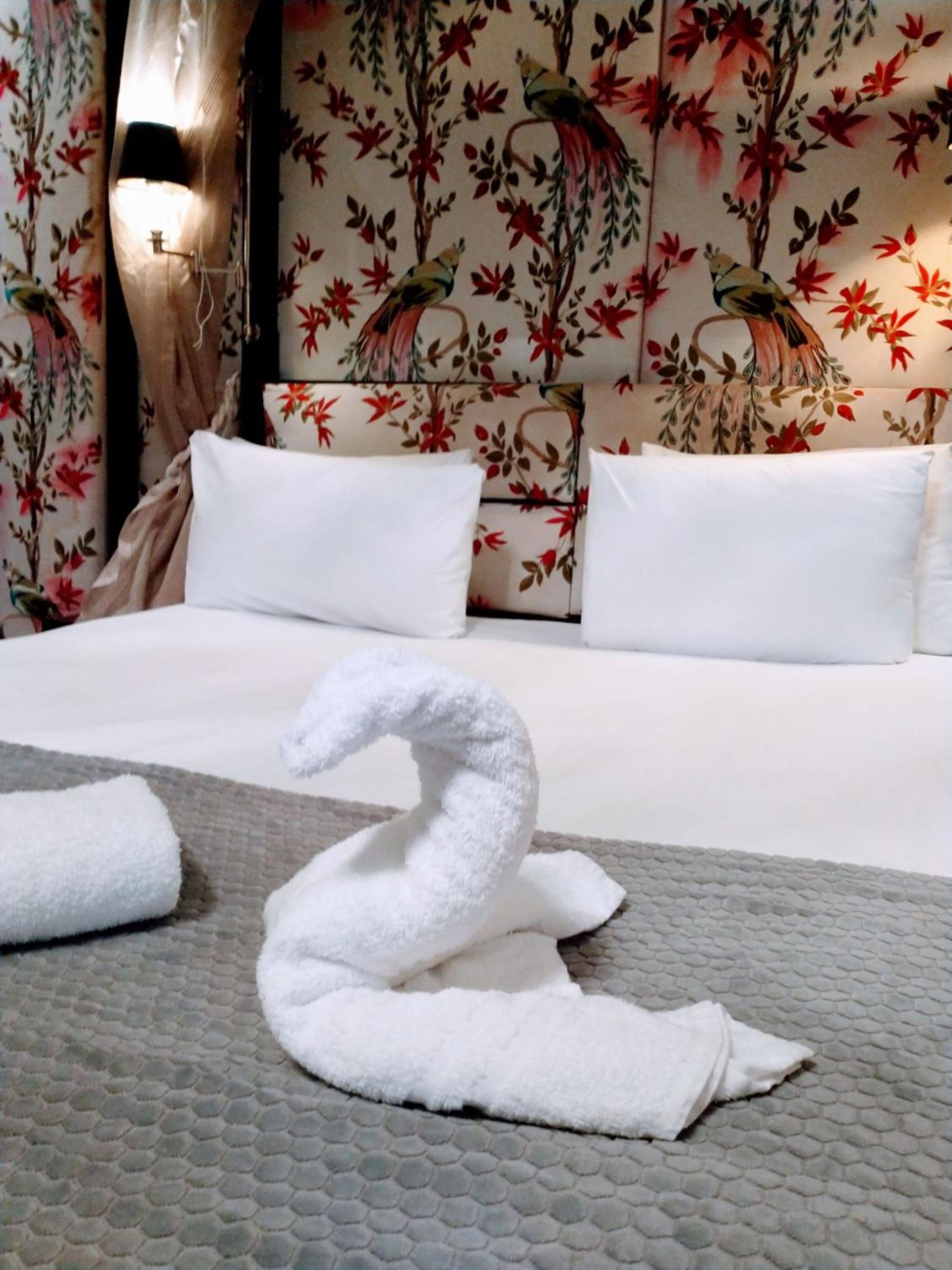 Suite photo 3
