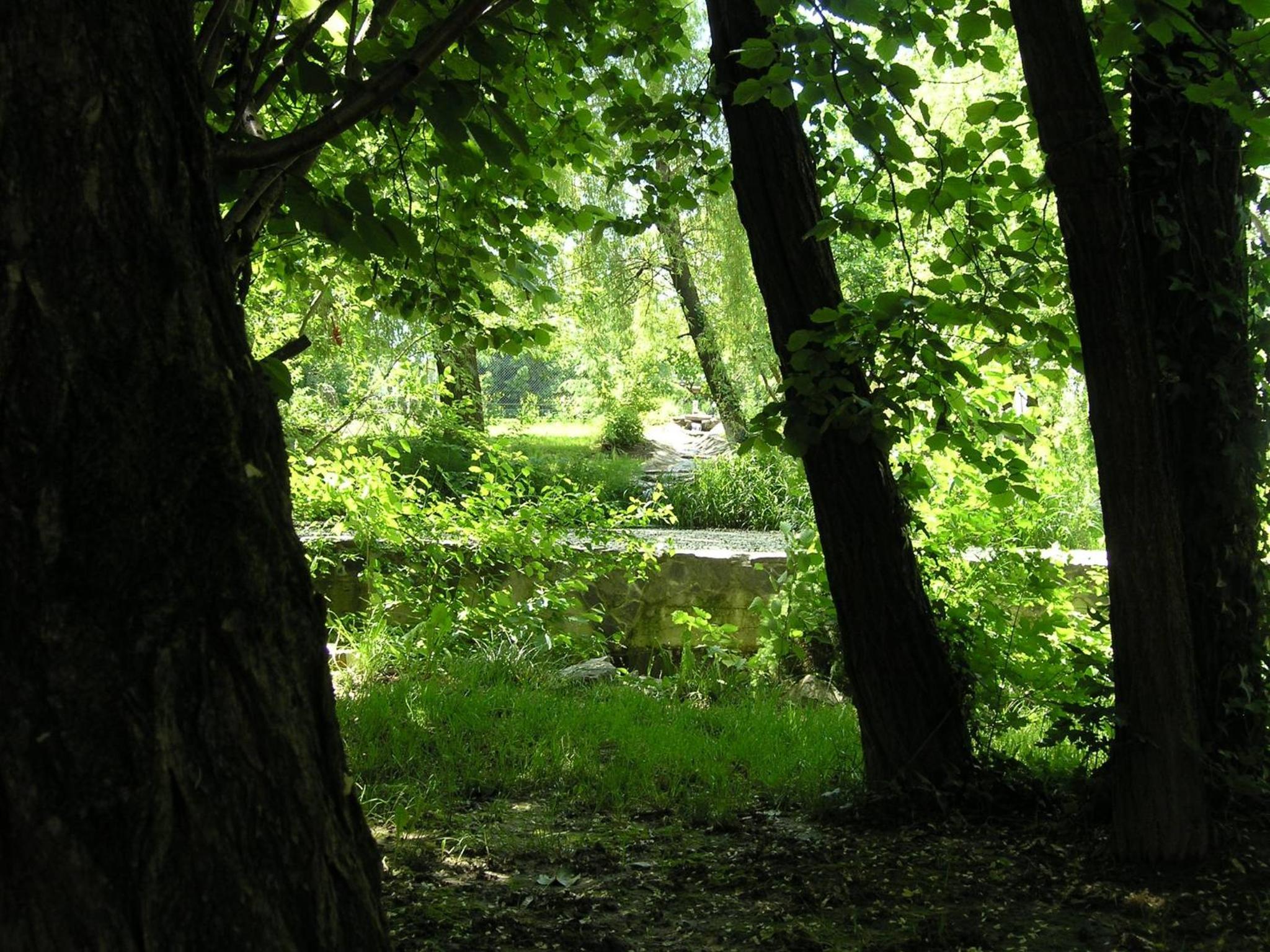Villa - Photo 104