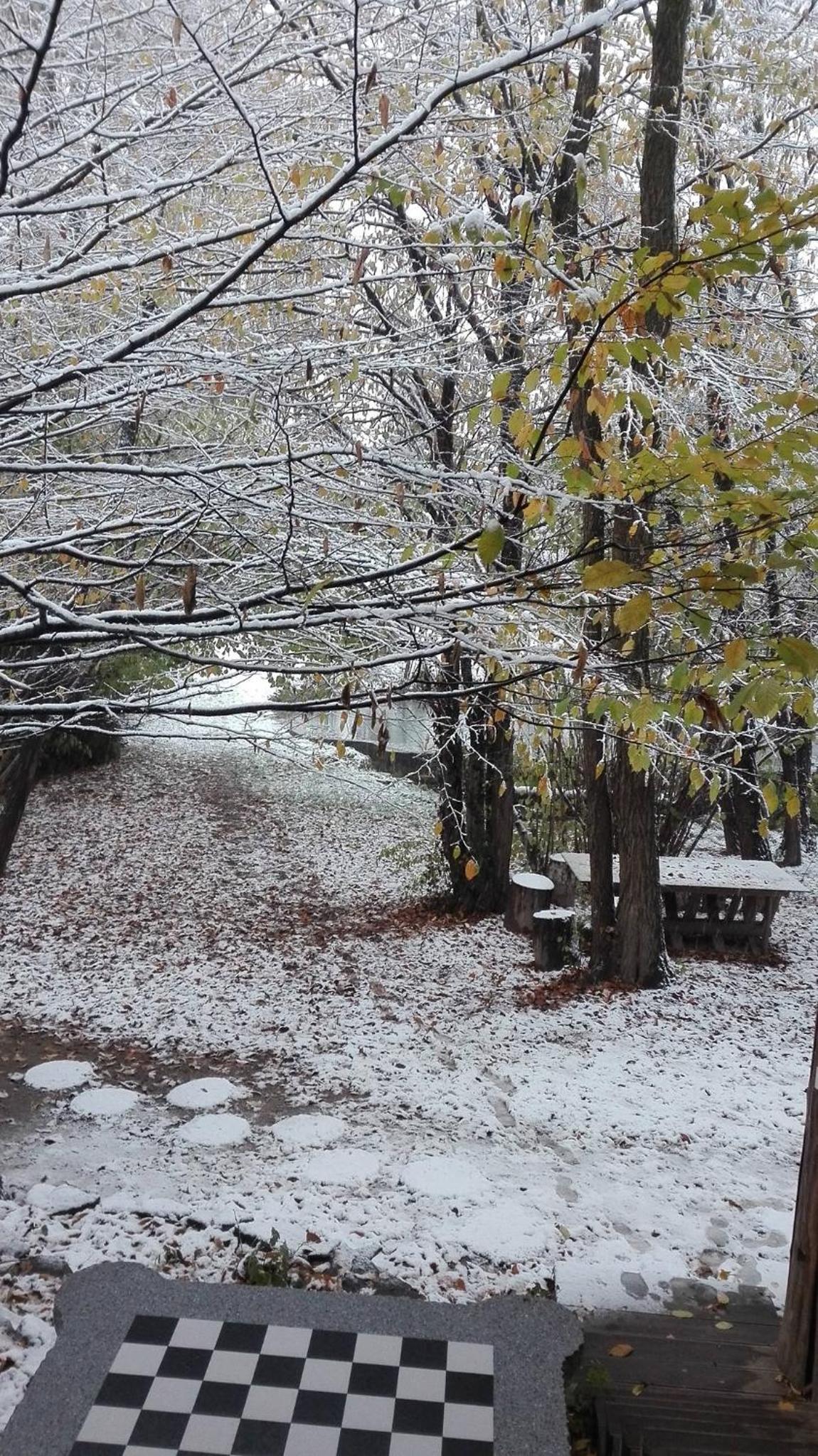Villa - Photo 157