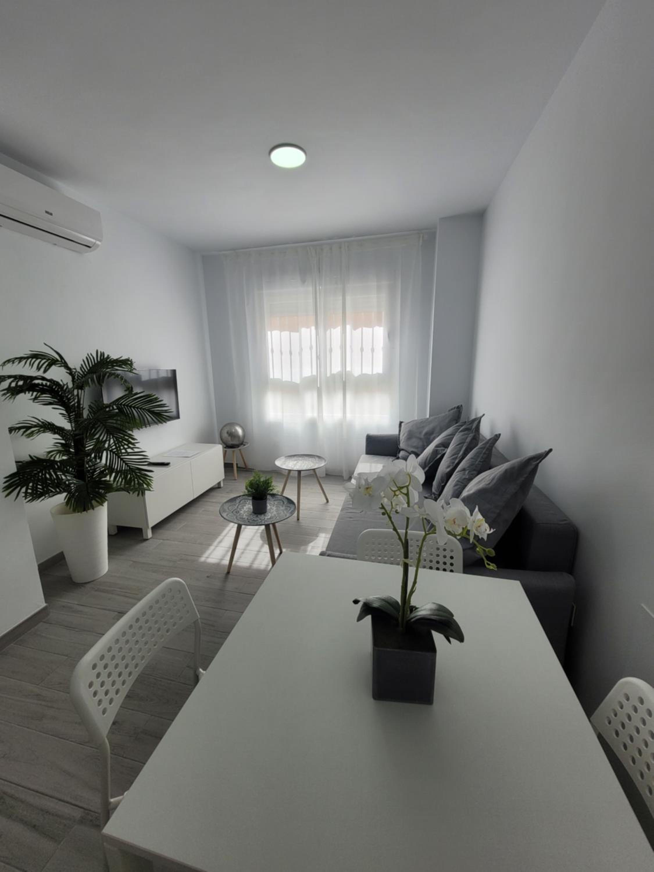 Apartment - Ground Floor photo 3