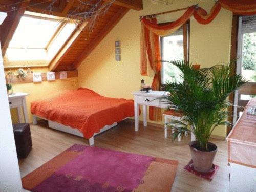 Double Room with Shared Bathroom