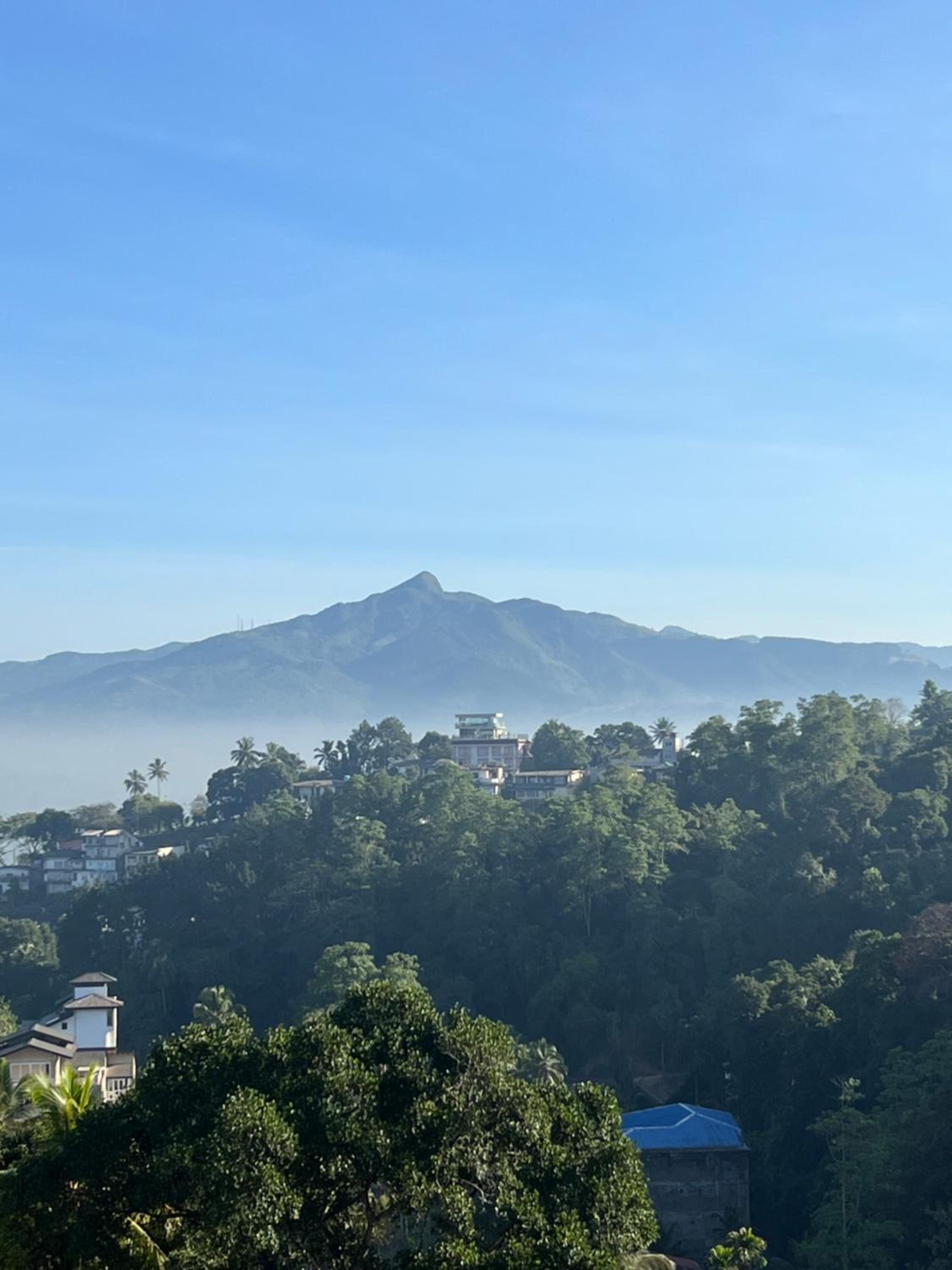 Apartment with Mountain View photo 3